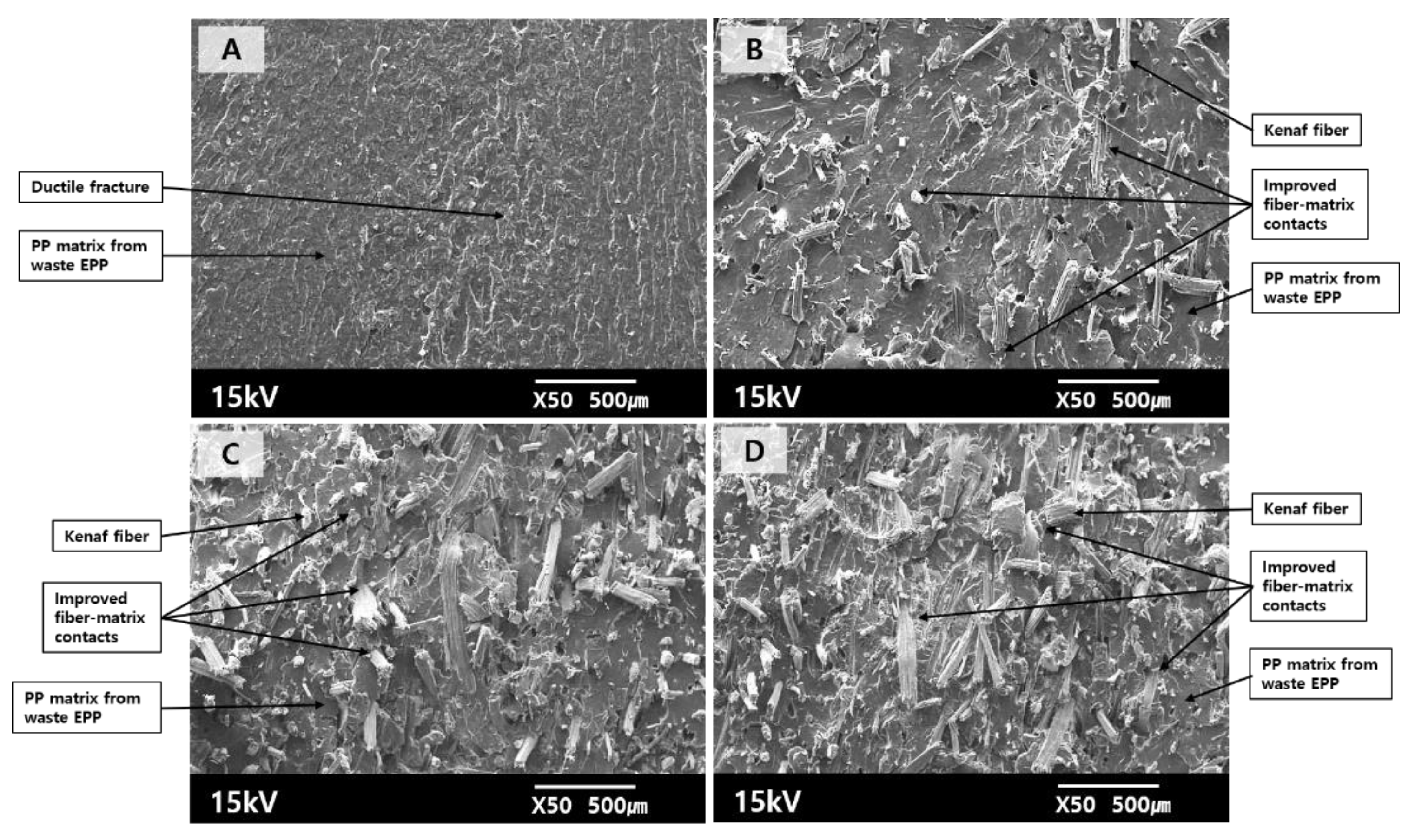 Polymers 12 02578 g004