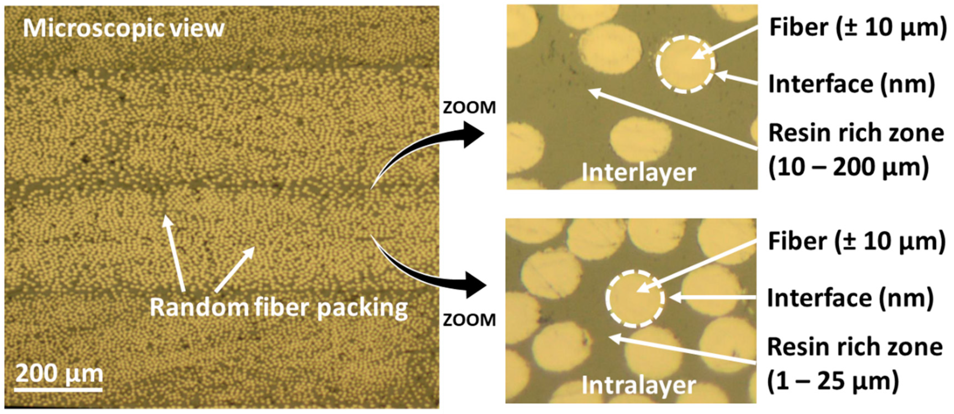 Polymers 12 02581 g001 Polymers 12 02581 g001