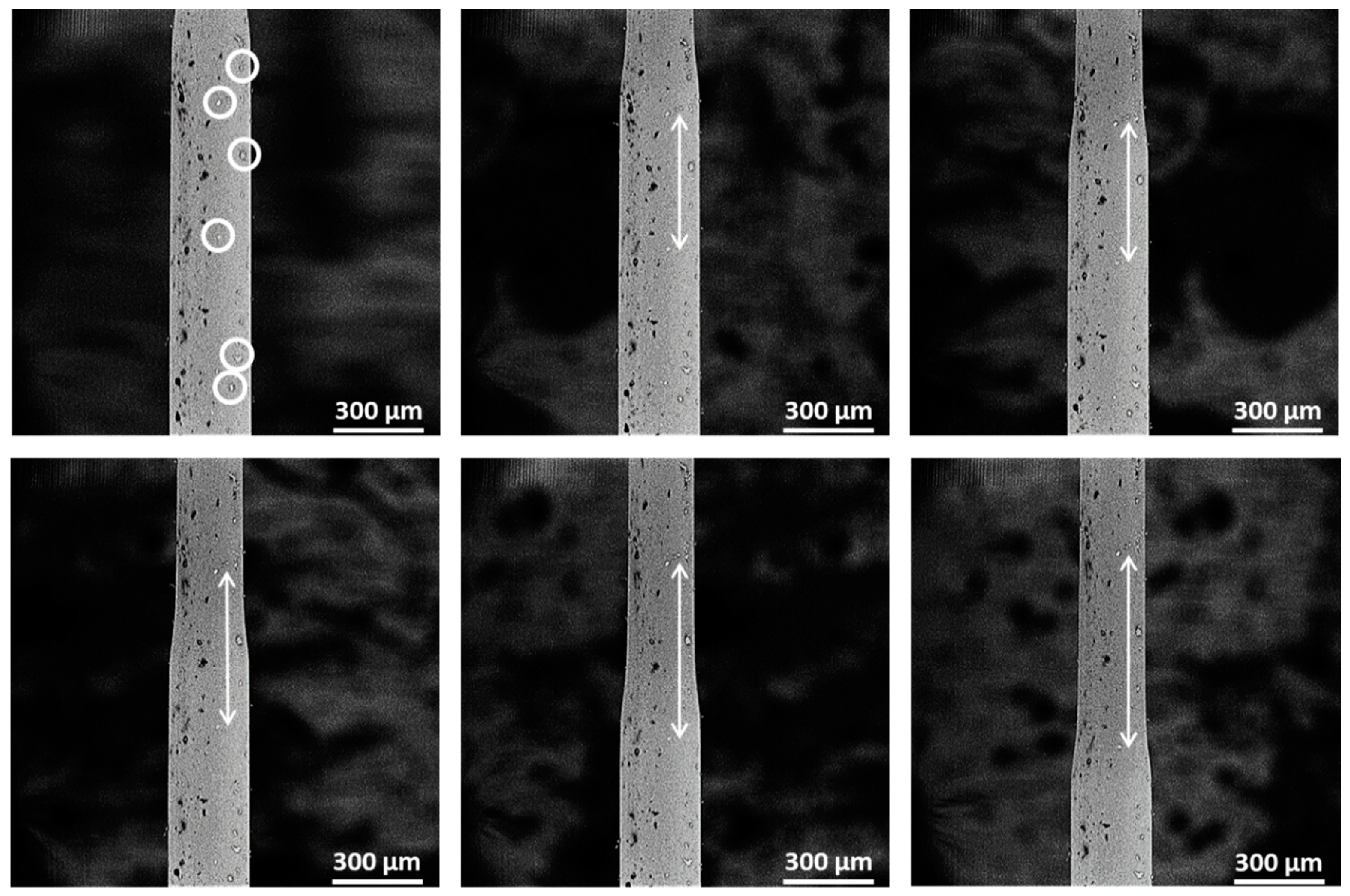 Polymers 12 02581 g007 Polymers 12 02581 g007