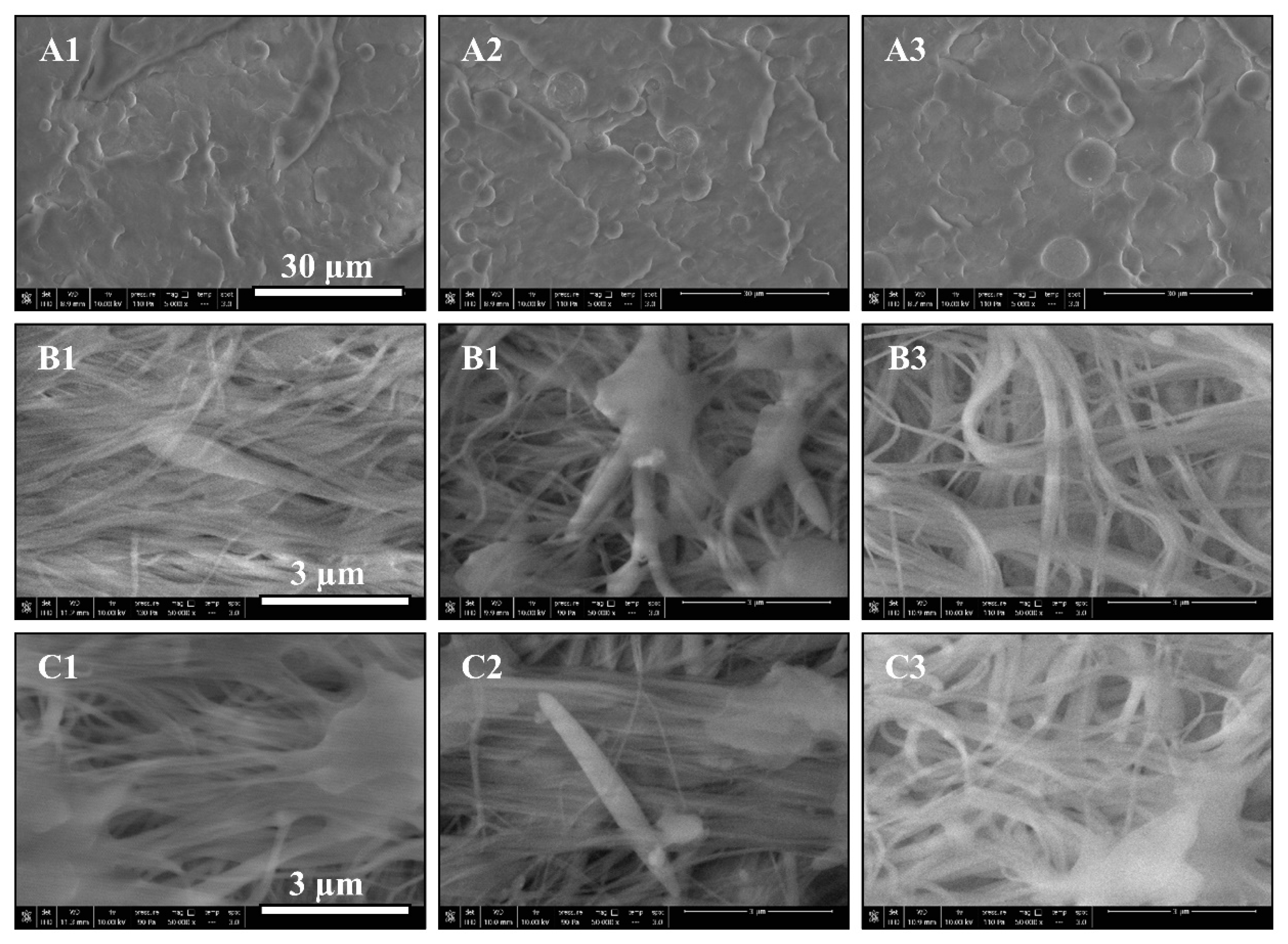 Polymers 12 02585 g003