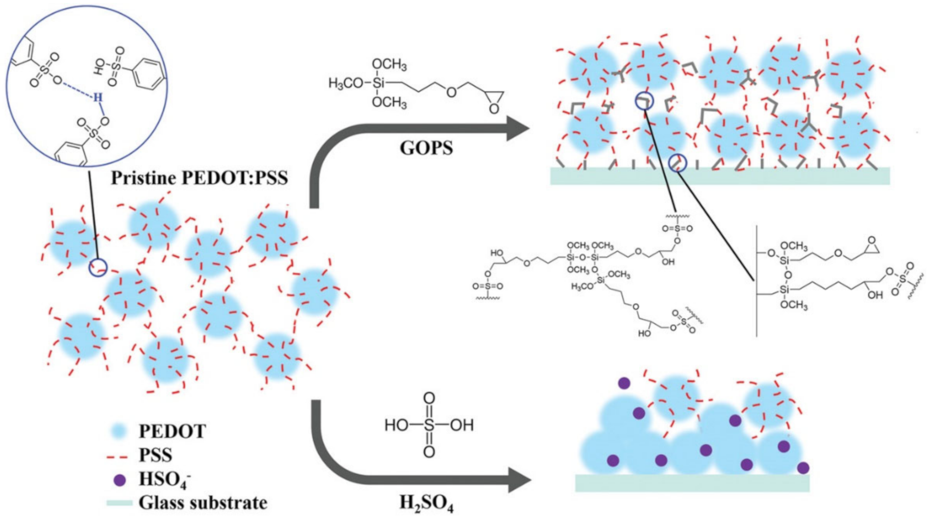 Polymers 12 02594 g002