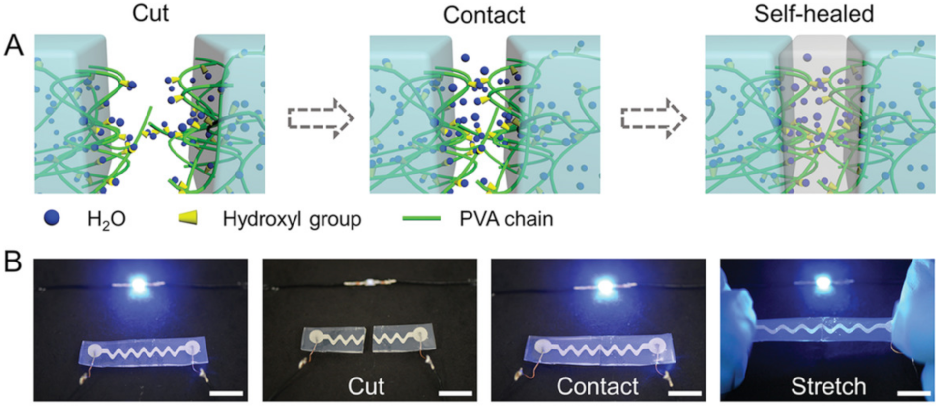 Polymers 12 02594 g004