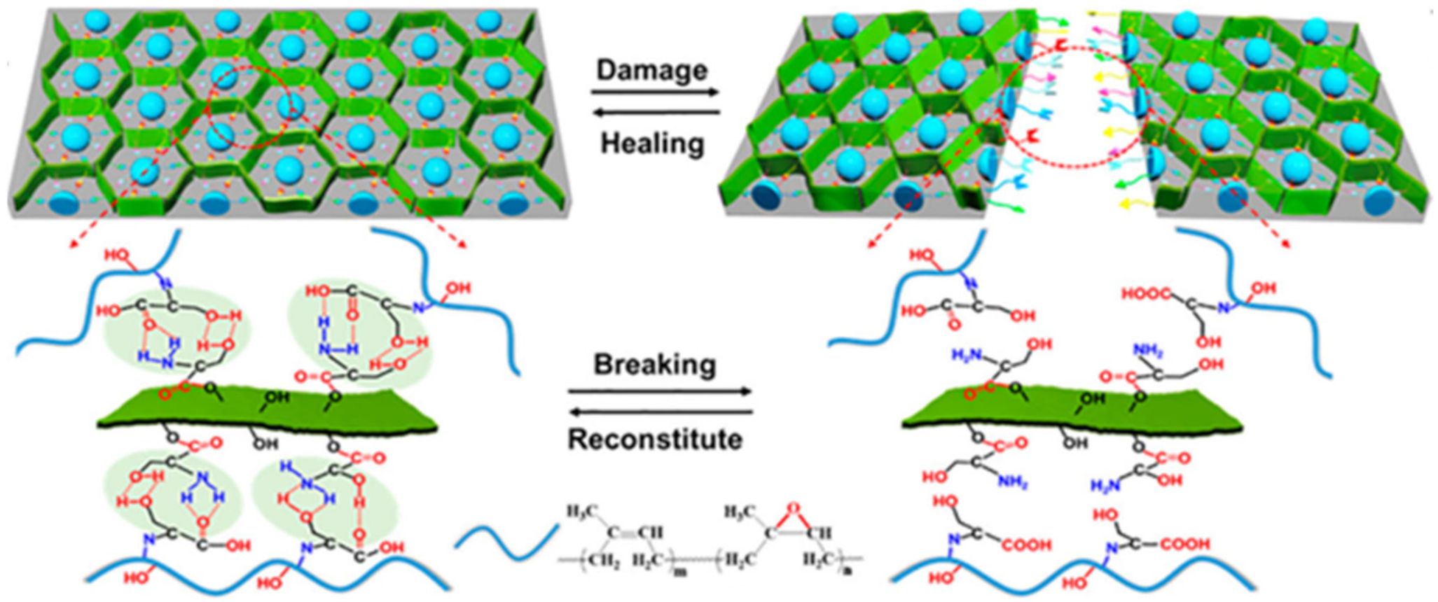 Polymers 12 02594 g005