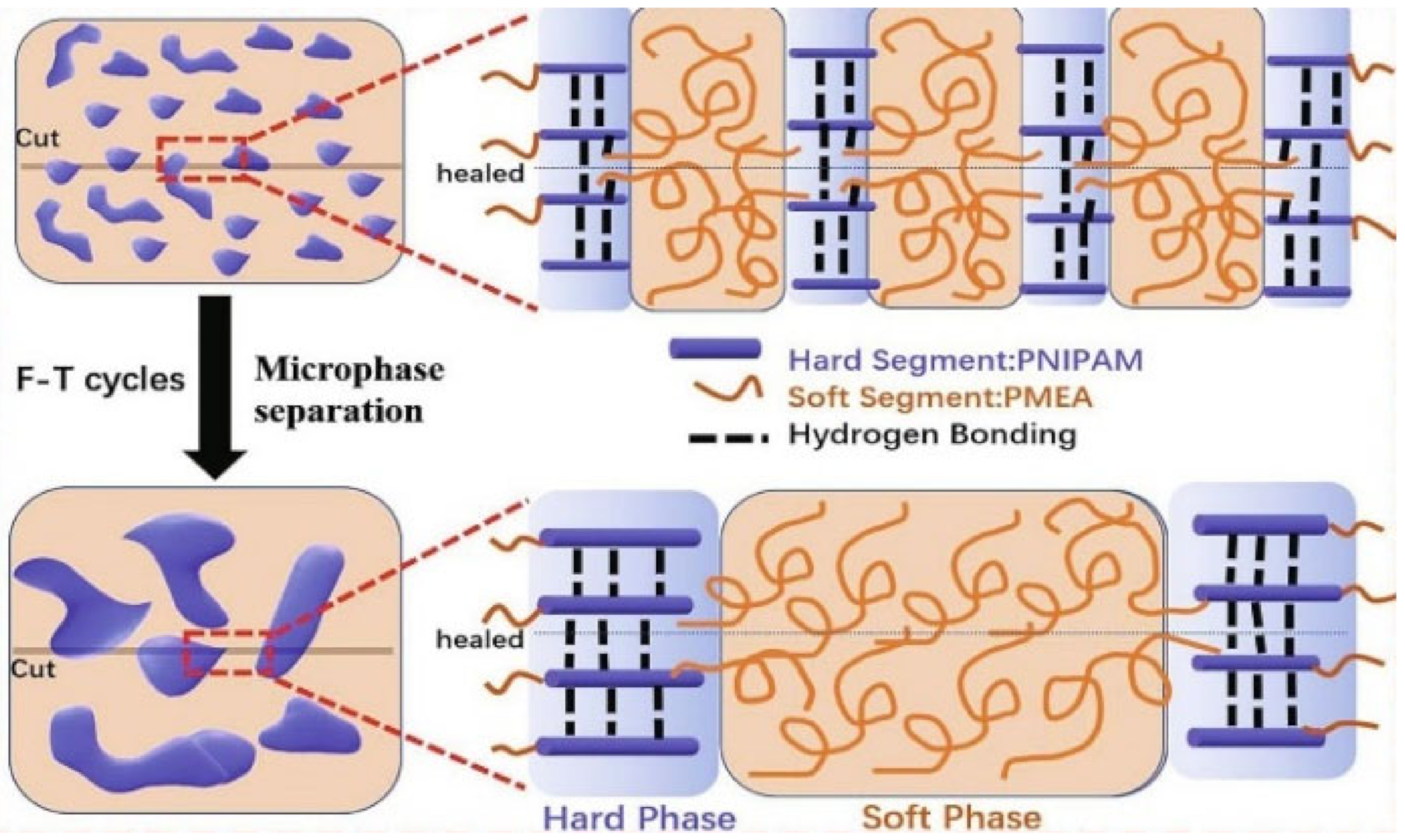 Polymers 12 02594 g006