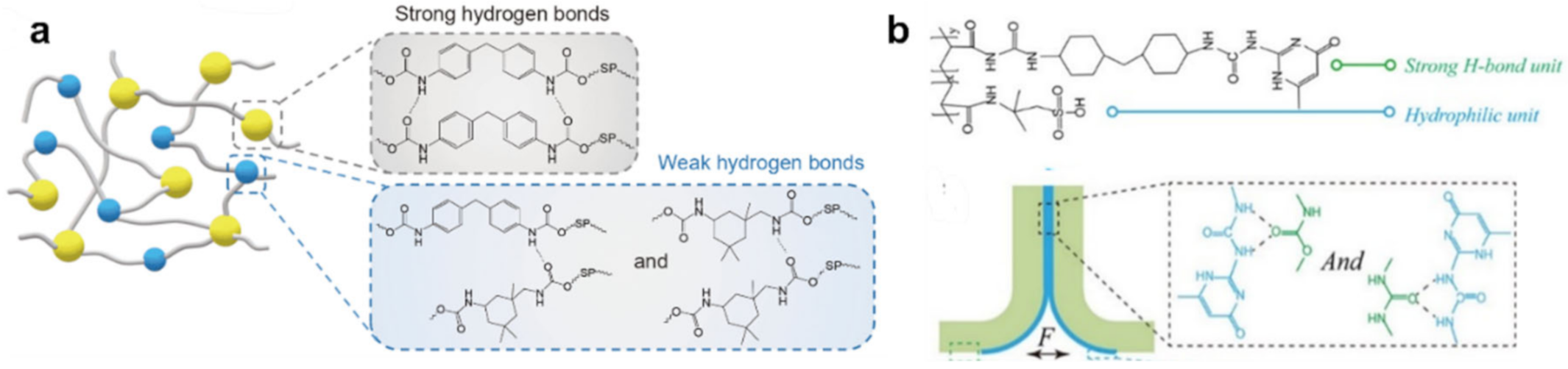 Polymers 12 02594 g008