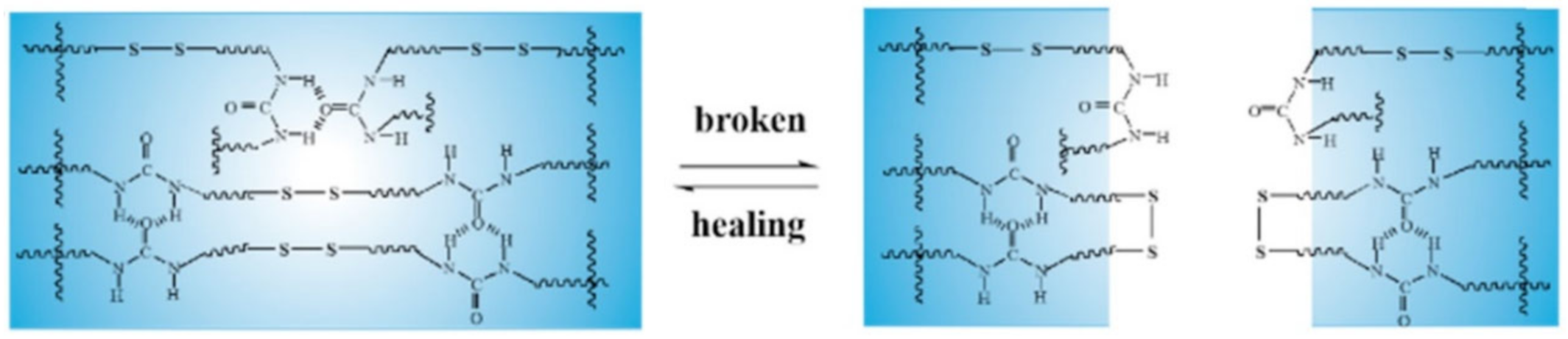 Polymers 12 02594 g016