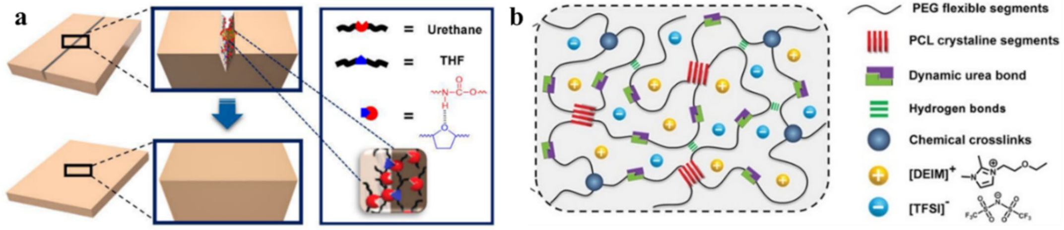 Polymers 12 02594 g017
