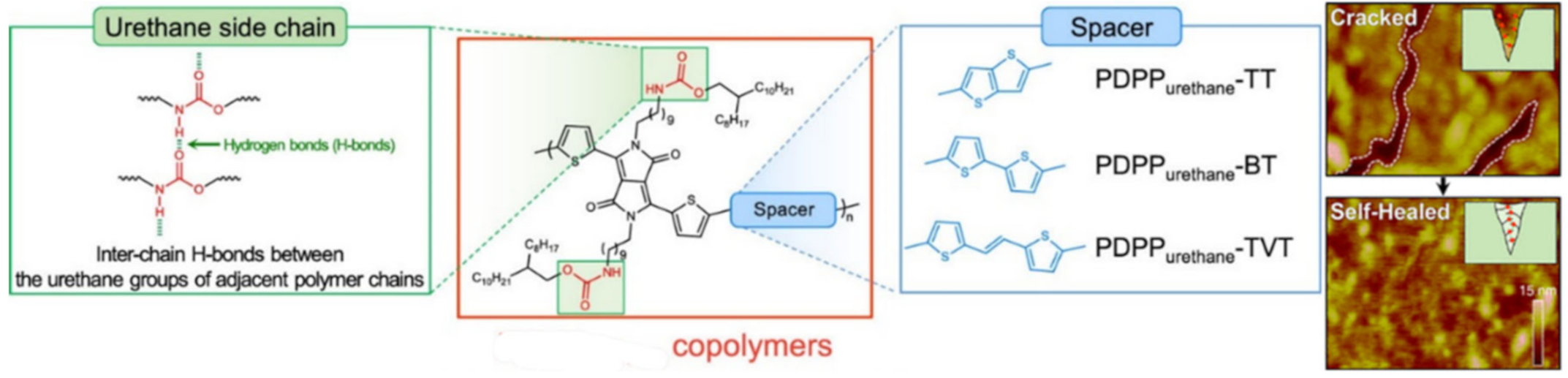 Polymers 12 02594 g019