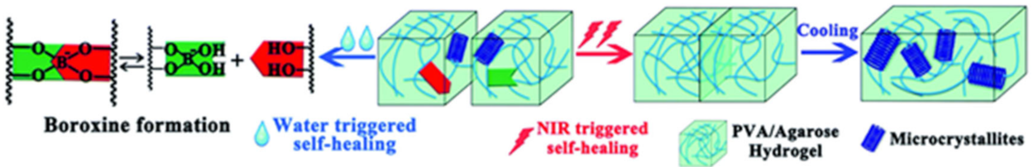 Polymers 12 02594 g032