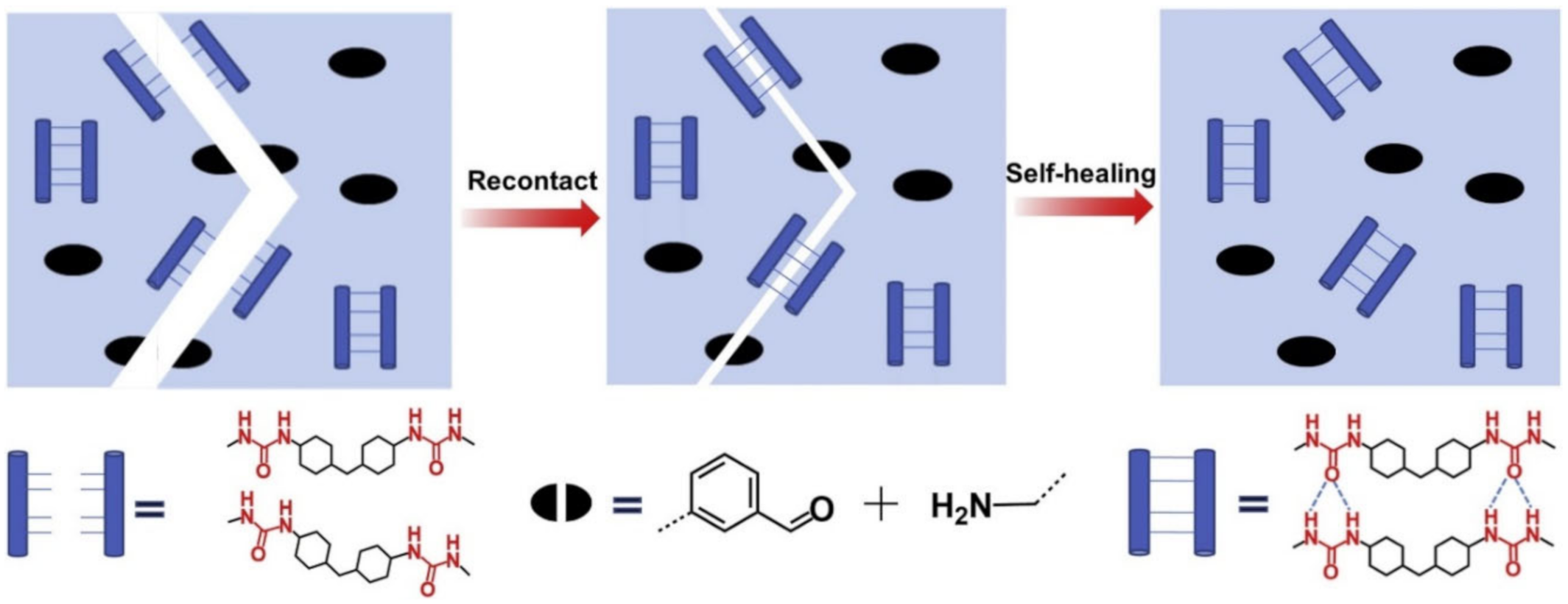 Polymers 12 02594 g035