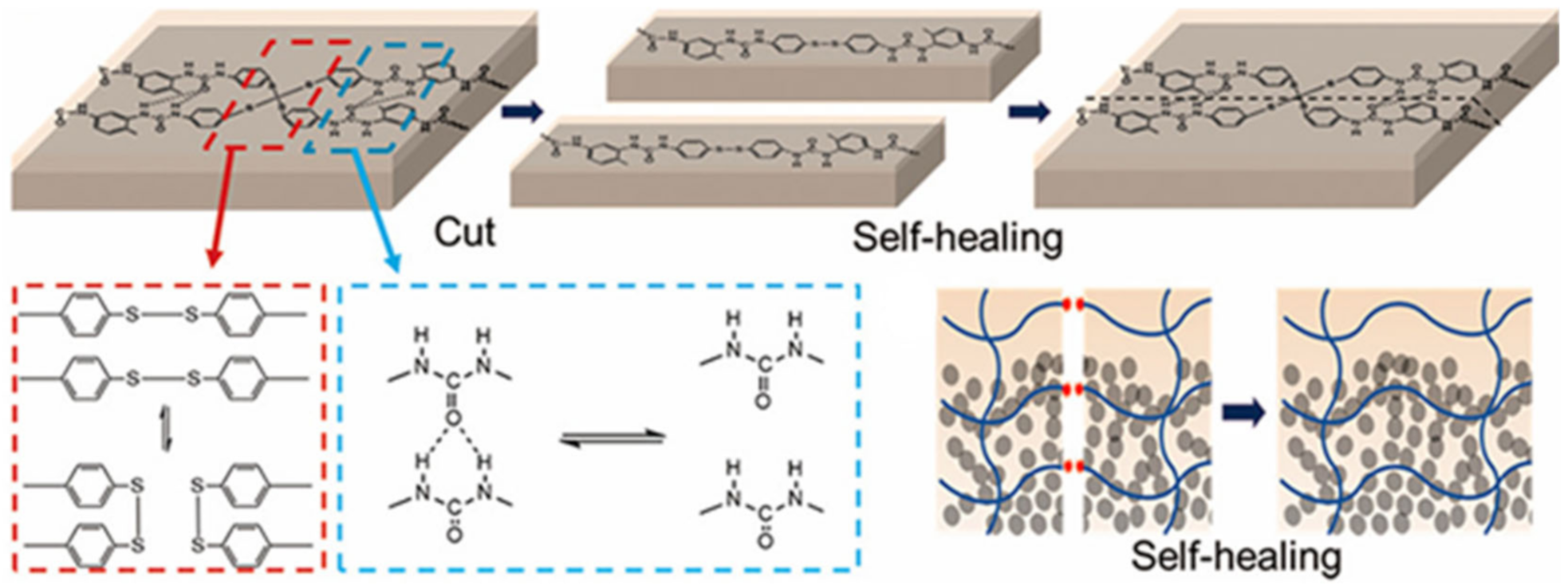 Polymers 12 02594 g037