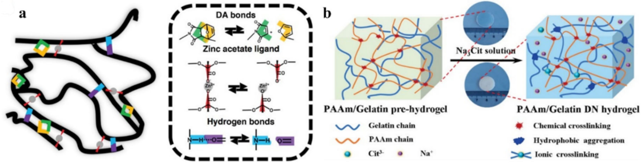 Polymers 12 02594 g057