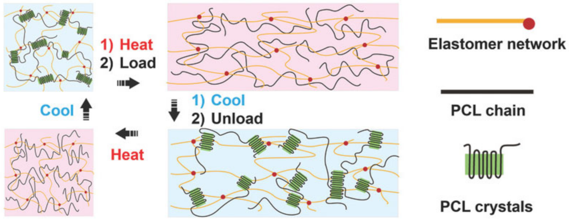 Polymers 12 02594 g062