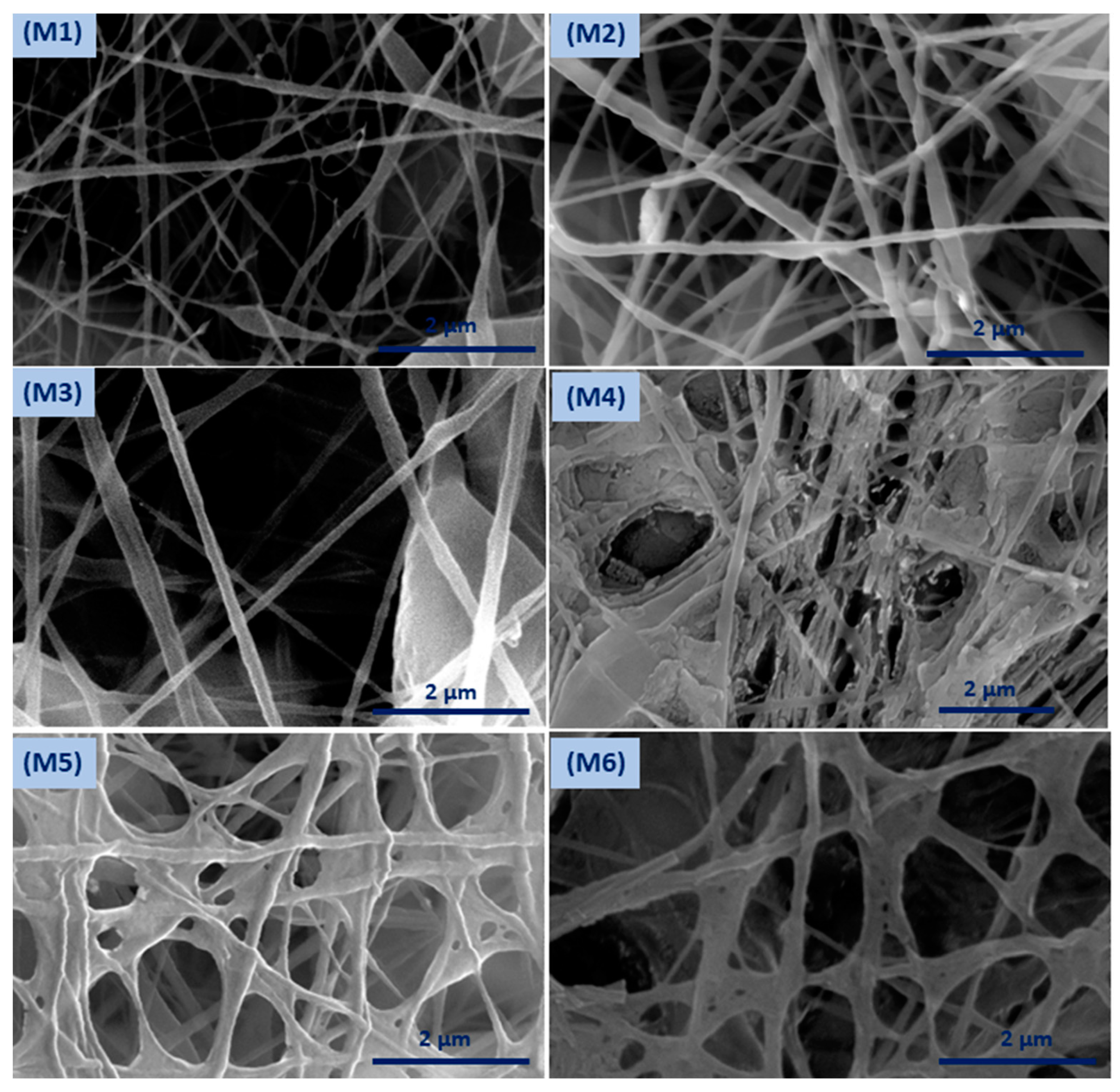 Polymers 12 02597 g002