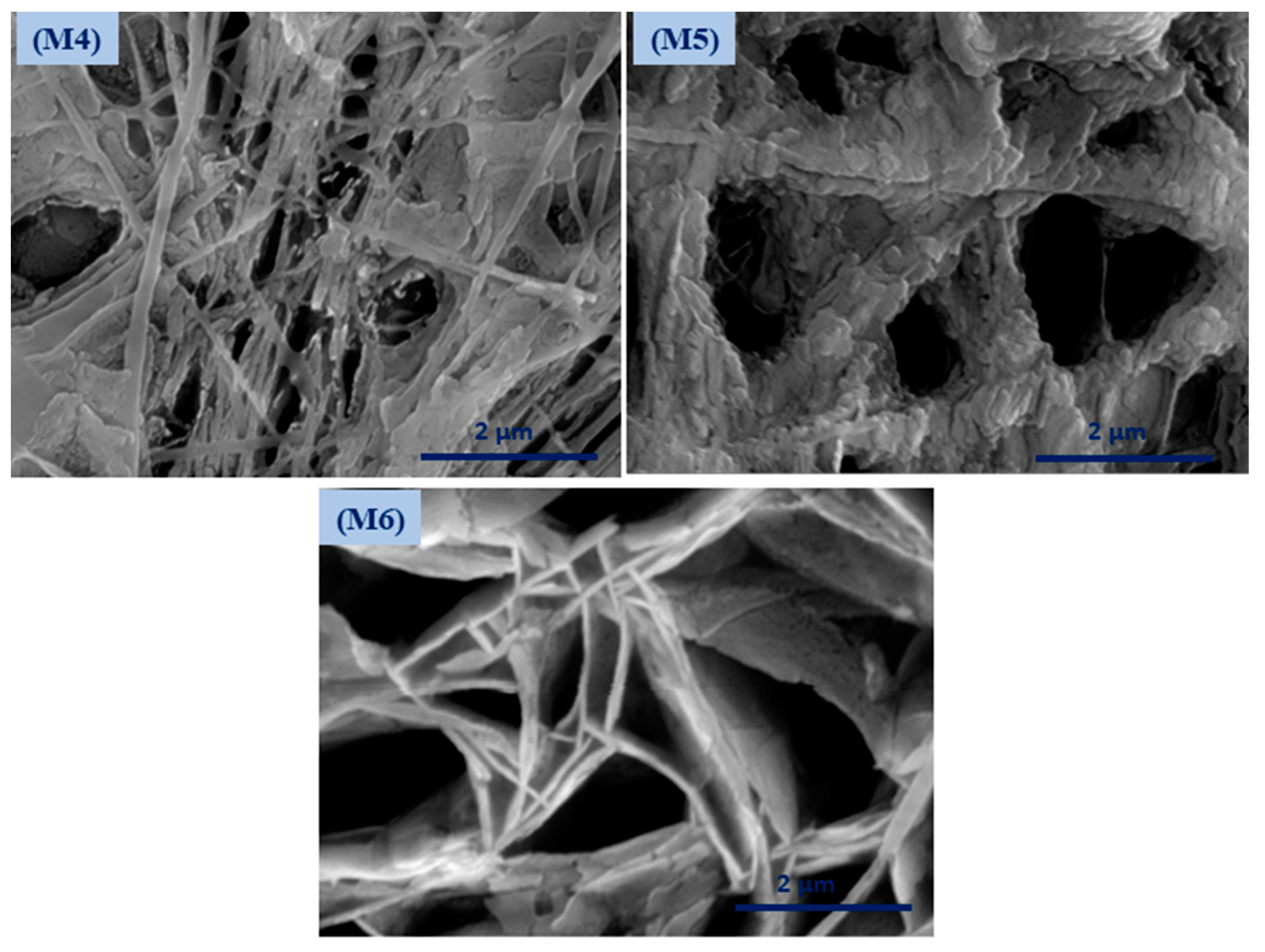 Polymers 12 02597 g003