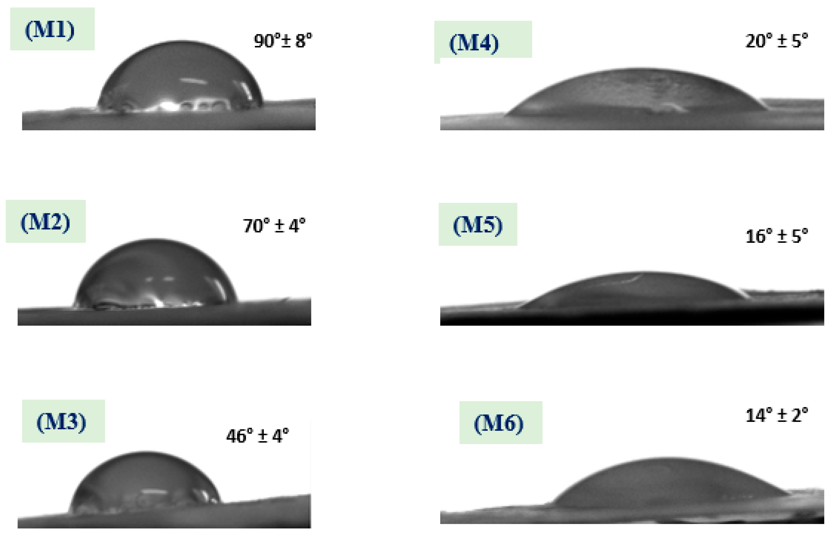 Polymers 12 02597 g006