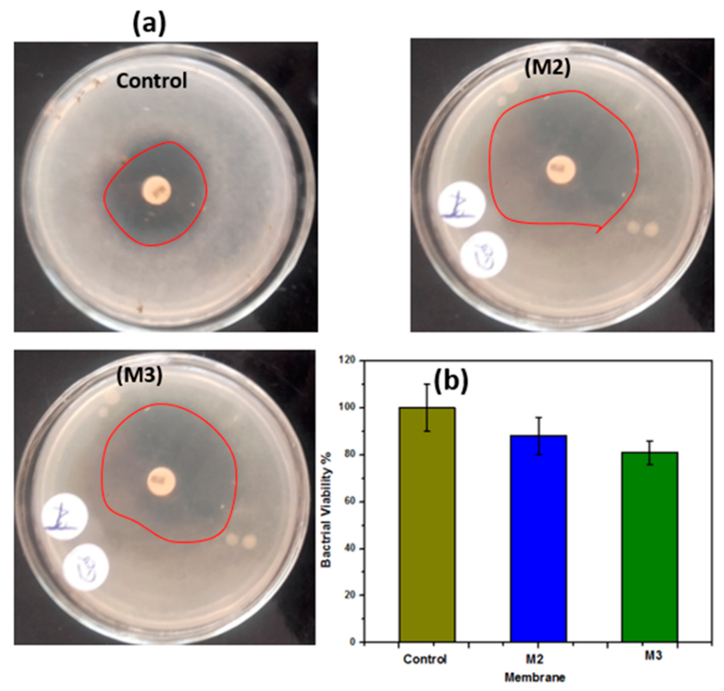 Polymers 12 02597 g009