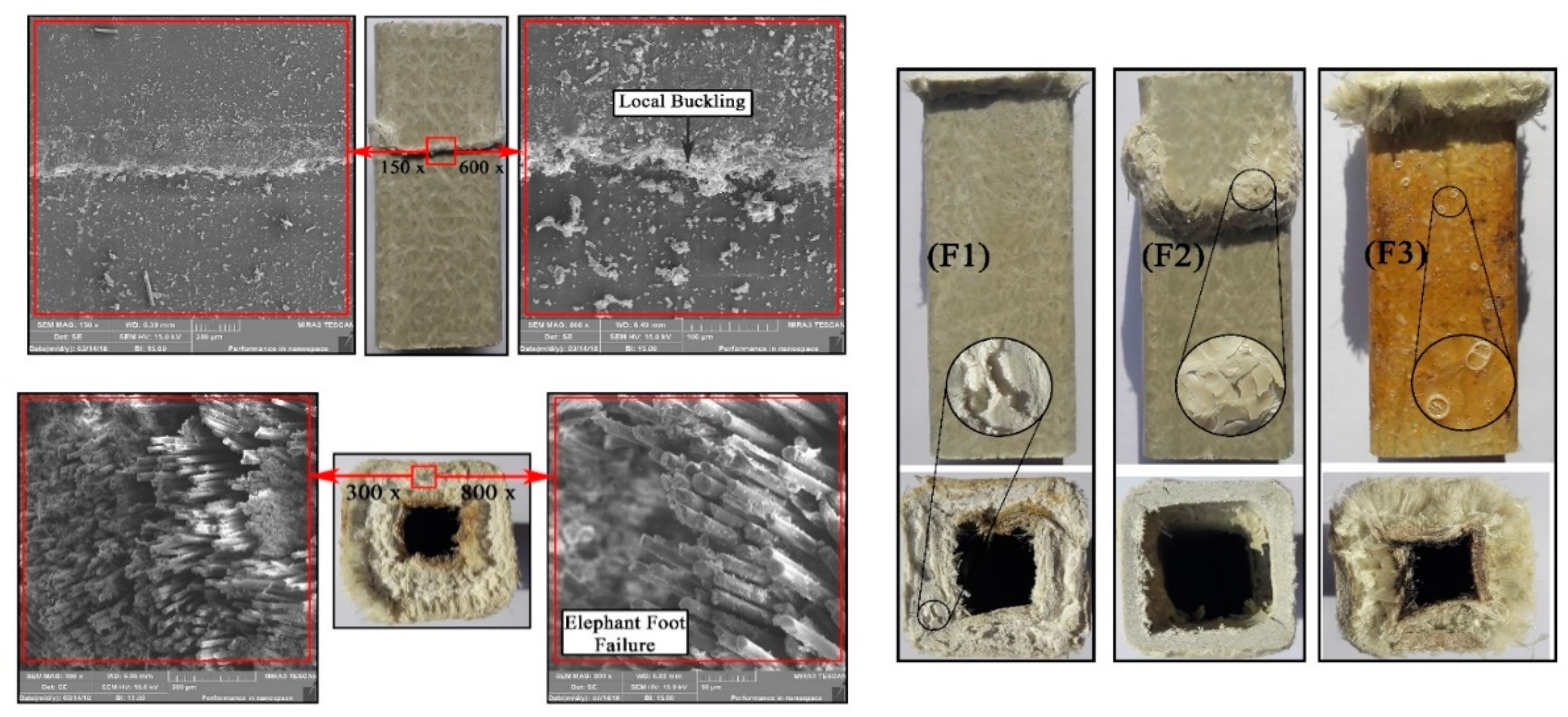 Polymers 12 02600 g009