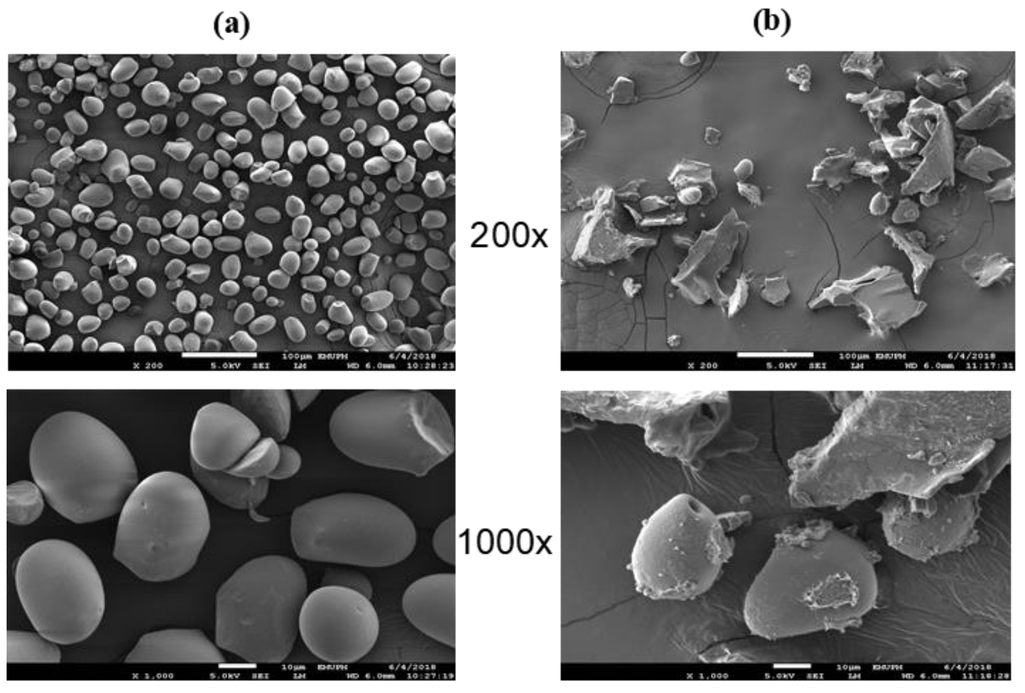 Polymers  Free Full-Text  Preparation and Optimization of Water 