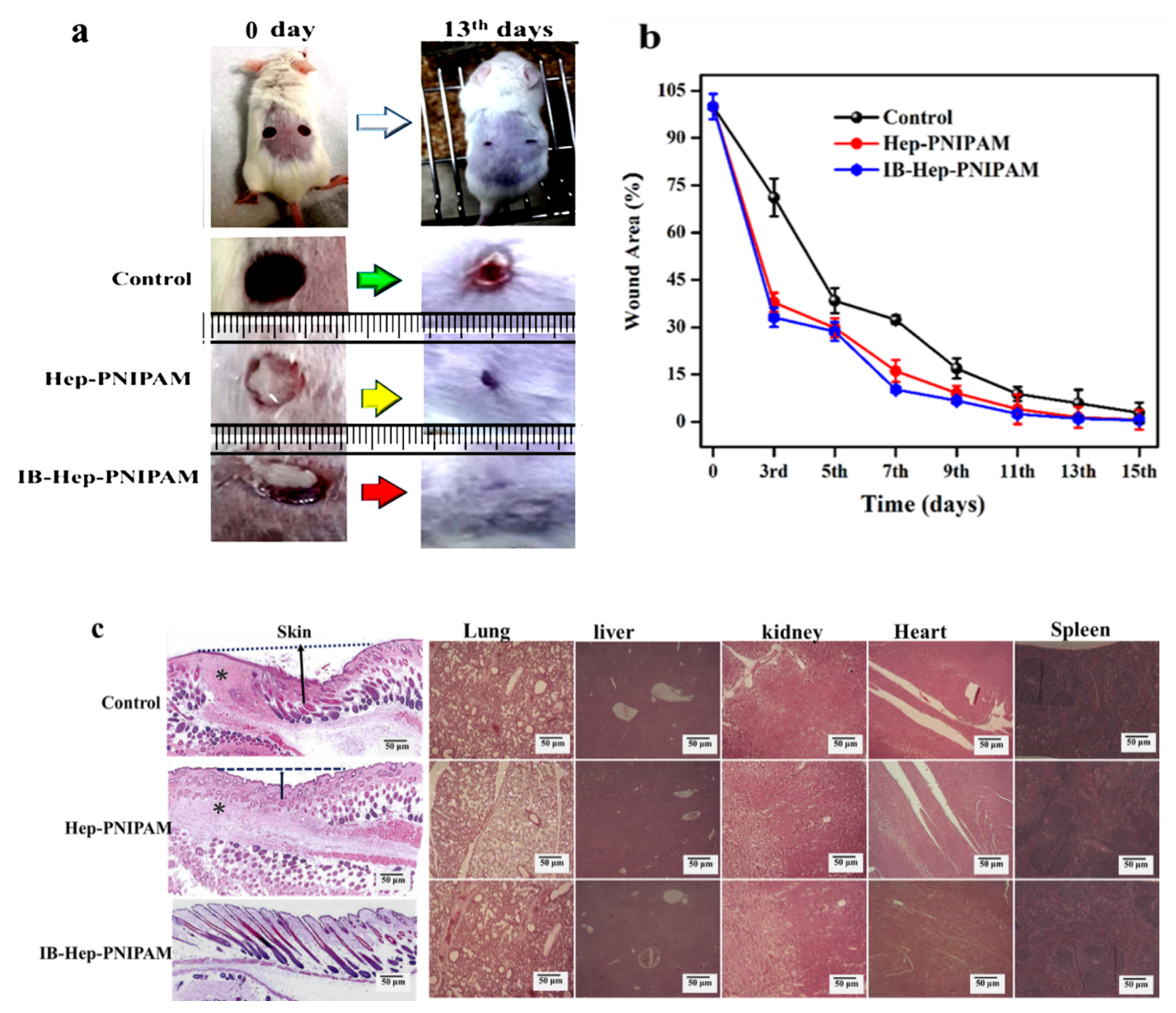 Polymers 12 02619 g007