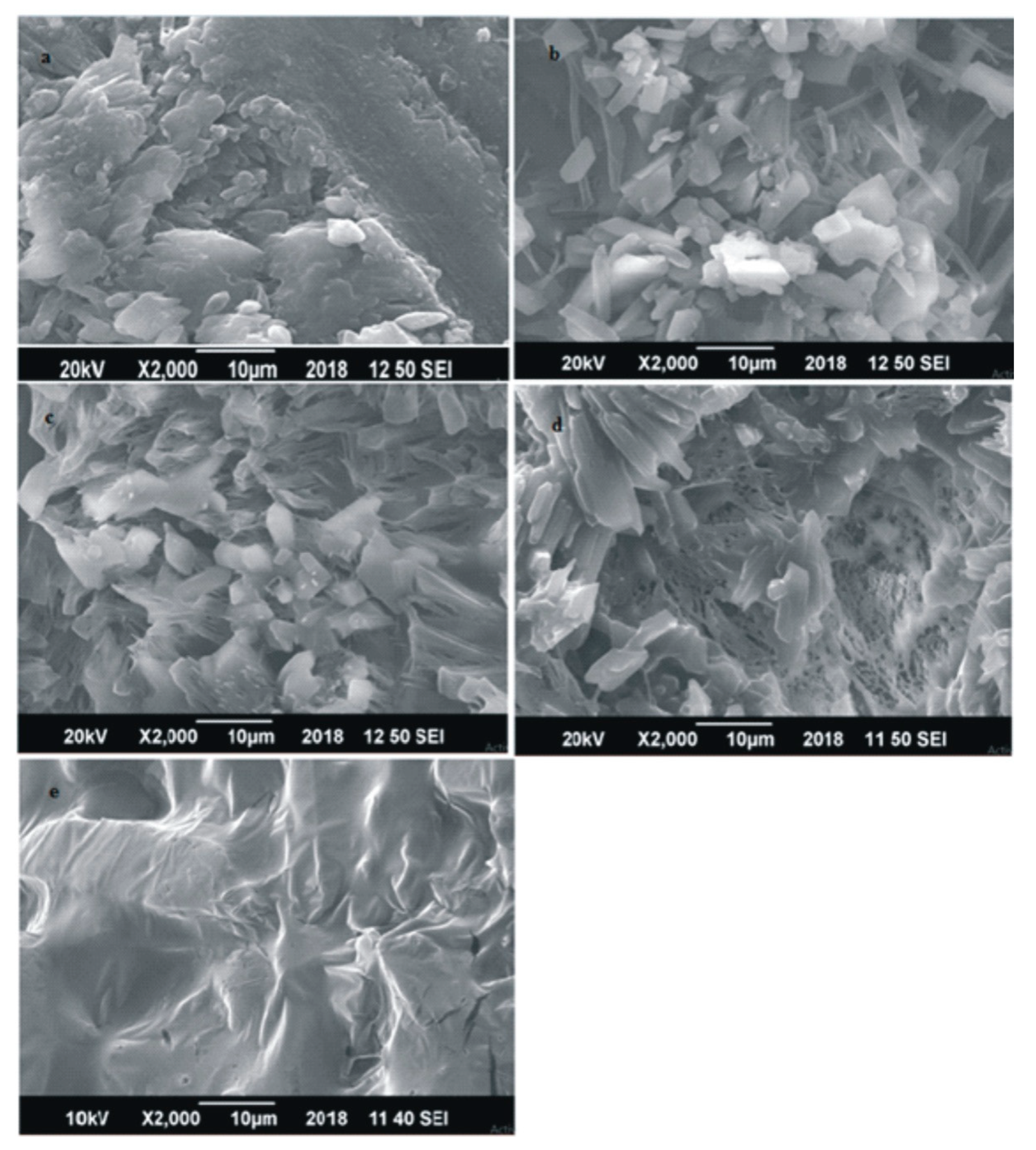 Polymers 12 02623 g001