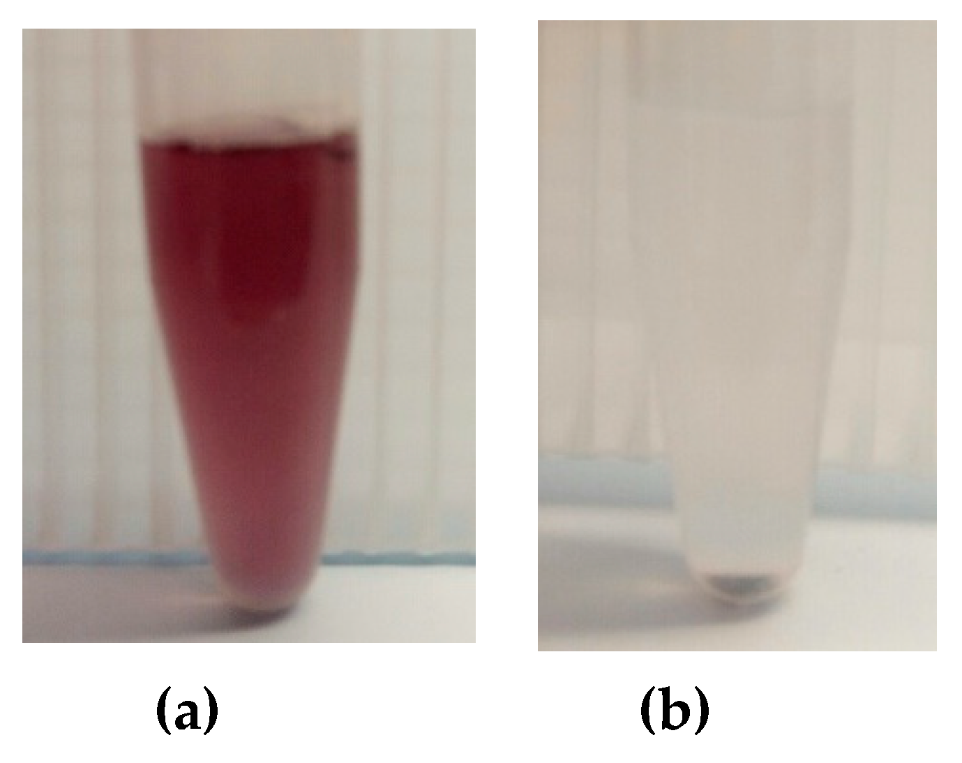 Polymers 12 02625 g002