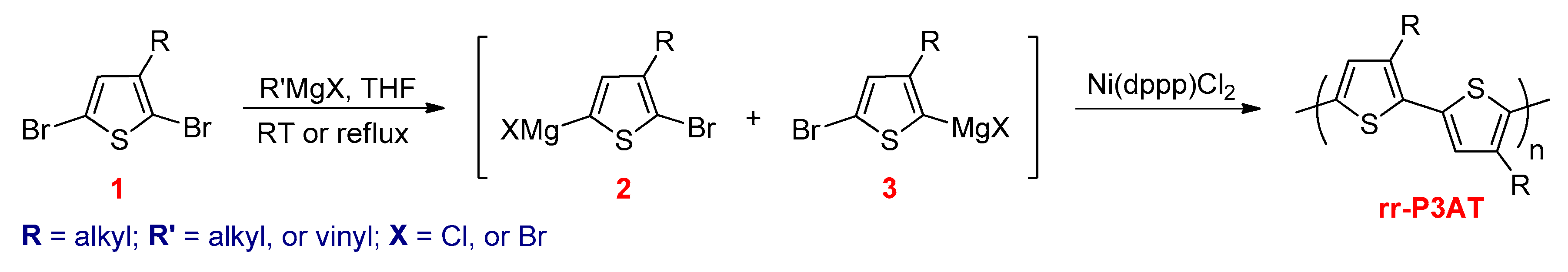 Polymers 12 02627 sch009 Polymers 12 02627 sch009