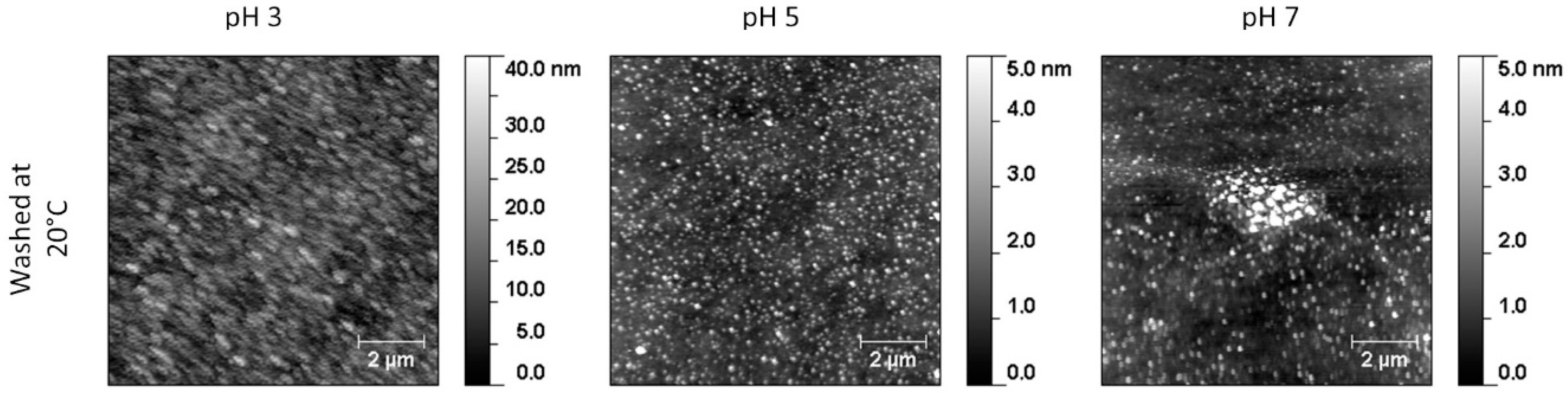 Polymers 12 02638 g008 Polymers 12 02638 g008