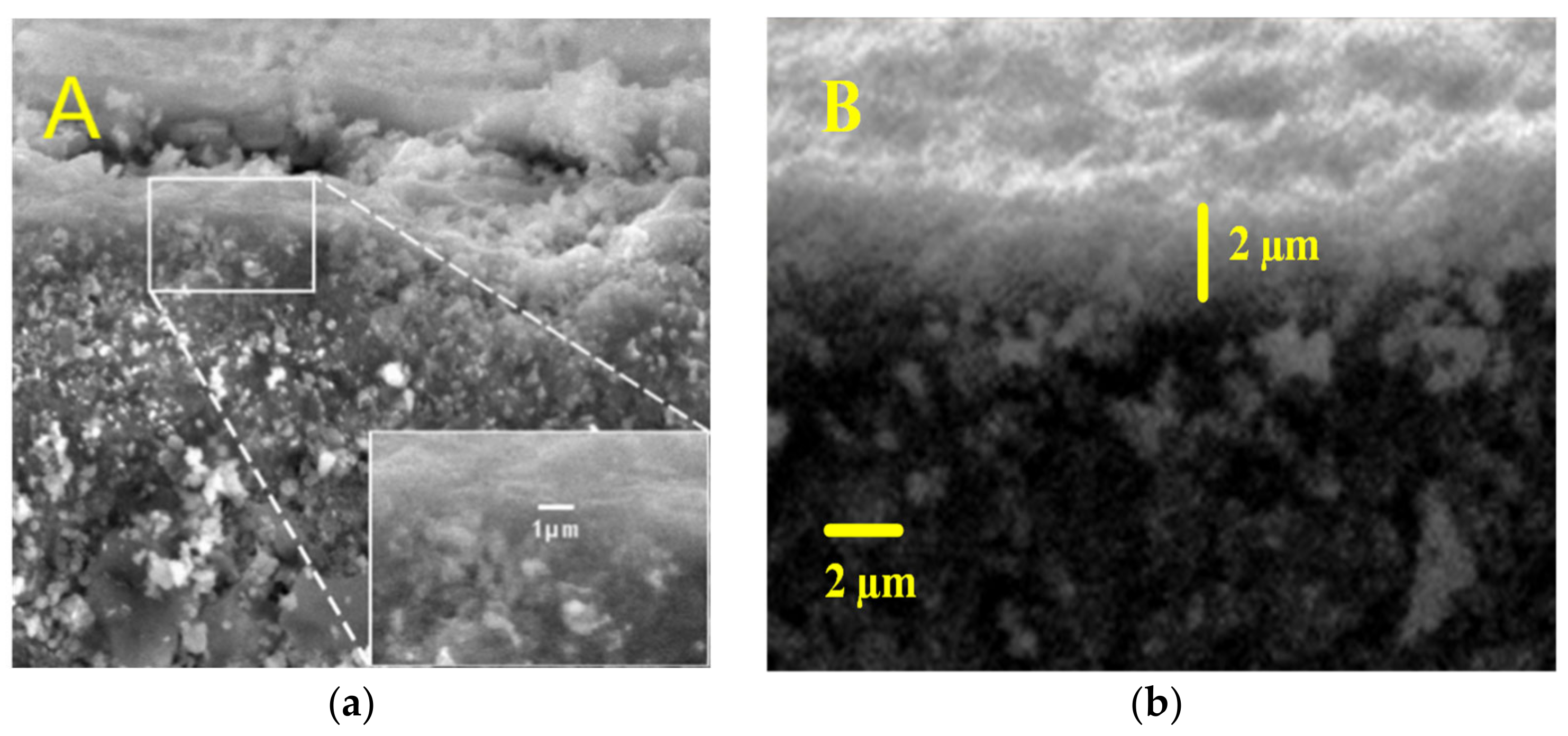 Polymers 12 02644 g004 Polymers 12 02644 g004