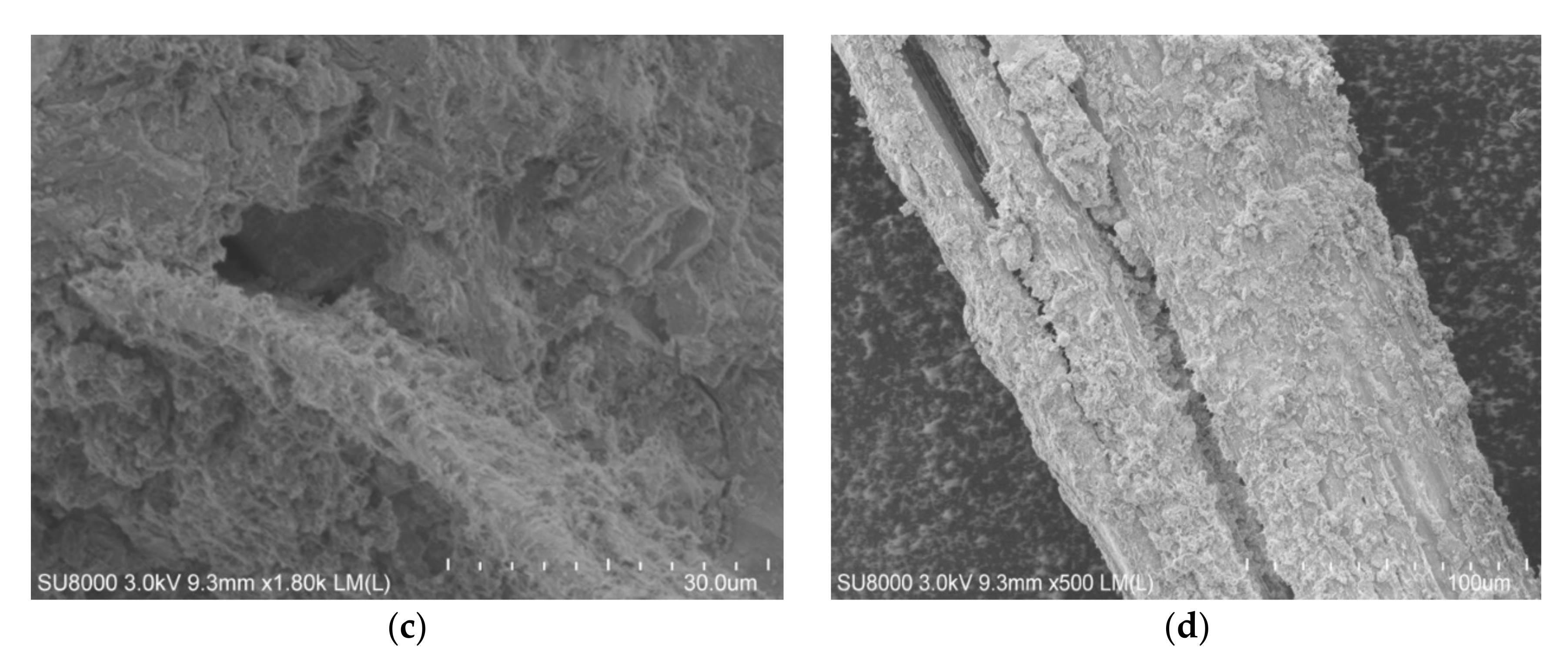 Polymers 12 02650 g010b Polymers 12 02650 g010b