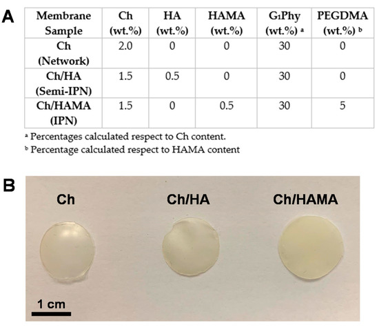 Polymers Free Full Text Evaluation Of Glycerylphytate Crosslinked Semi And Interpenetrated Polymer Membranes Of Hyaluronic Acid And Chitosan For Tissue Engineering Html