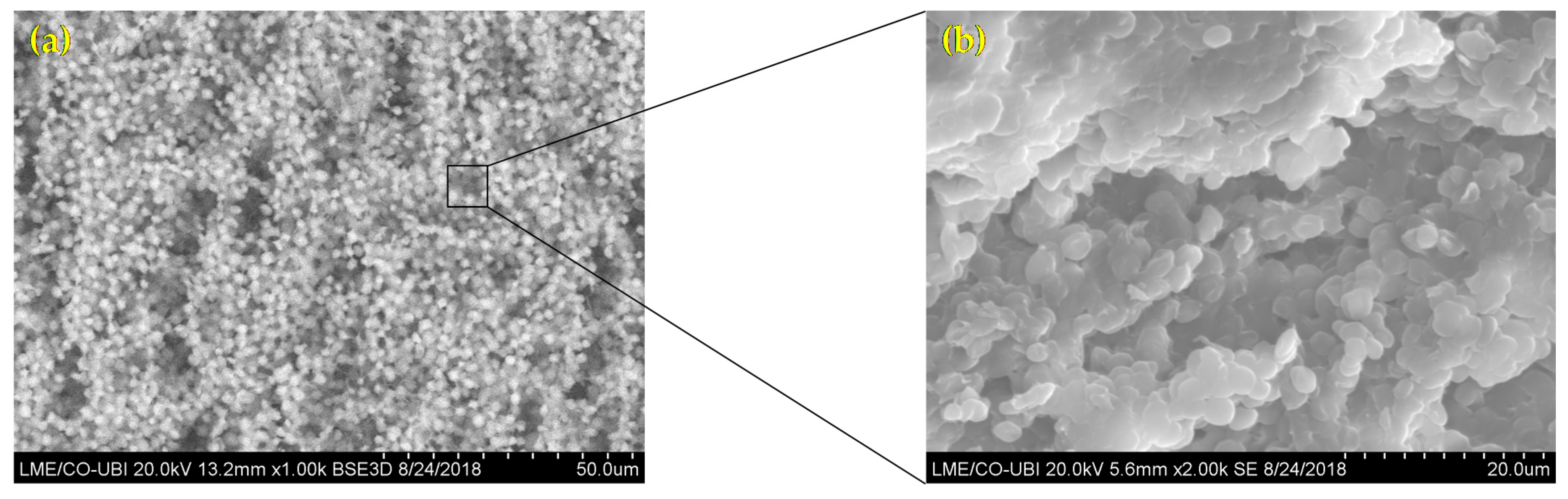 Polymers 12 02689 g001 Polymers 12 02689 g001