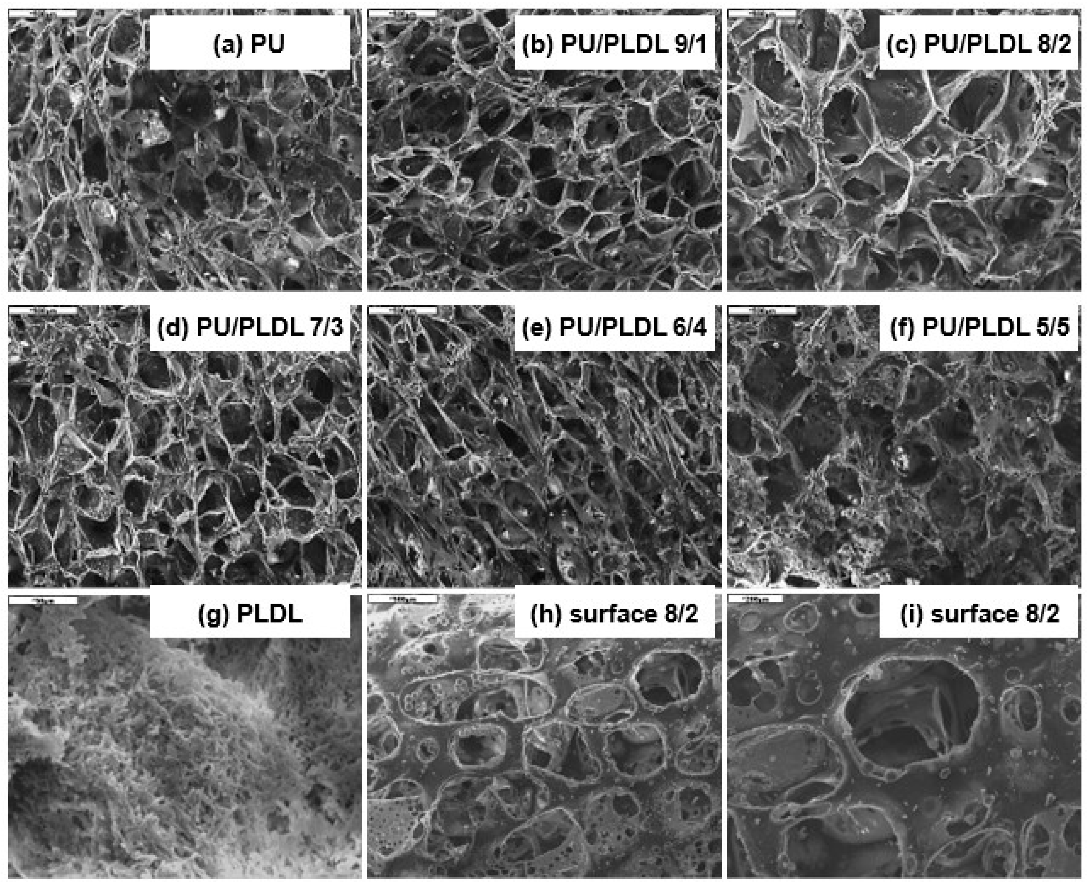 Polymers 12 02693 g003