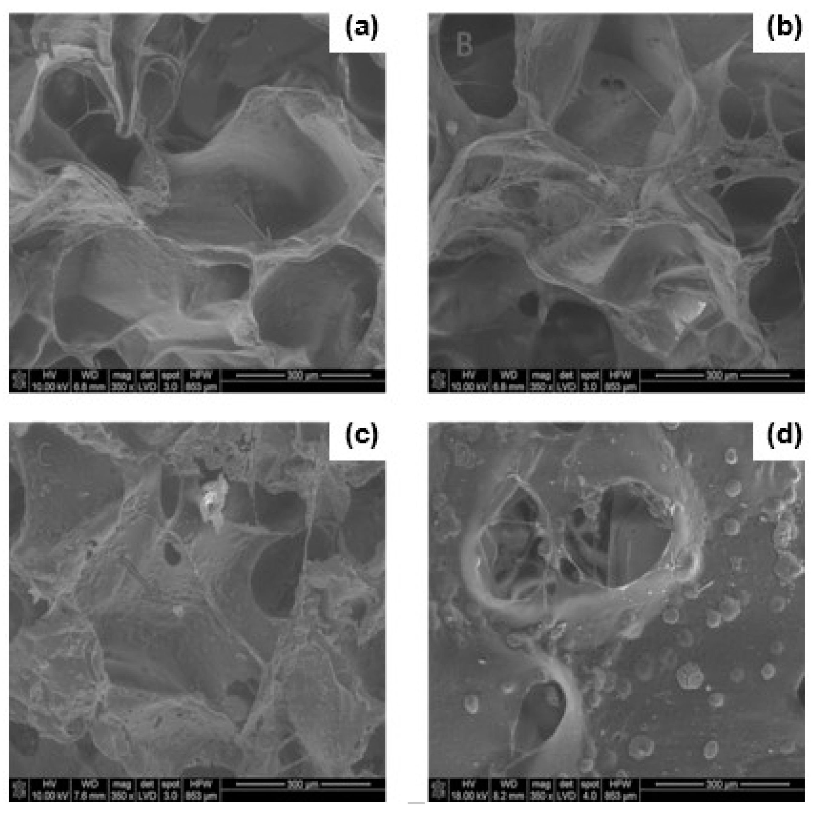 Polymers 12 02693 g009