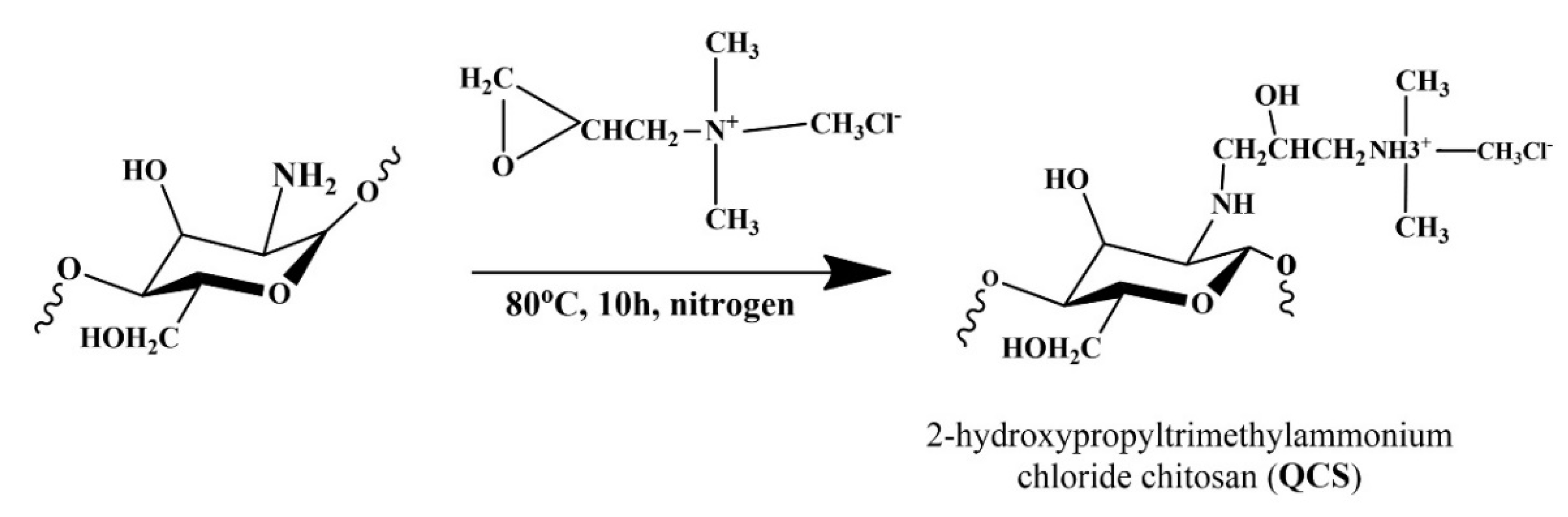 Polymers 12 02714 g002 Polymers 12 02714 g002