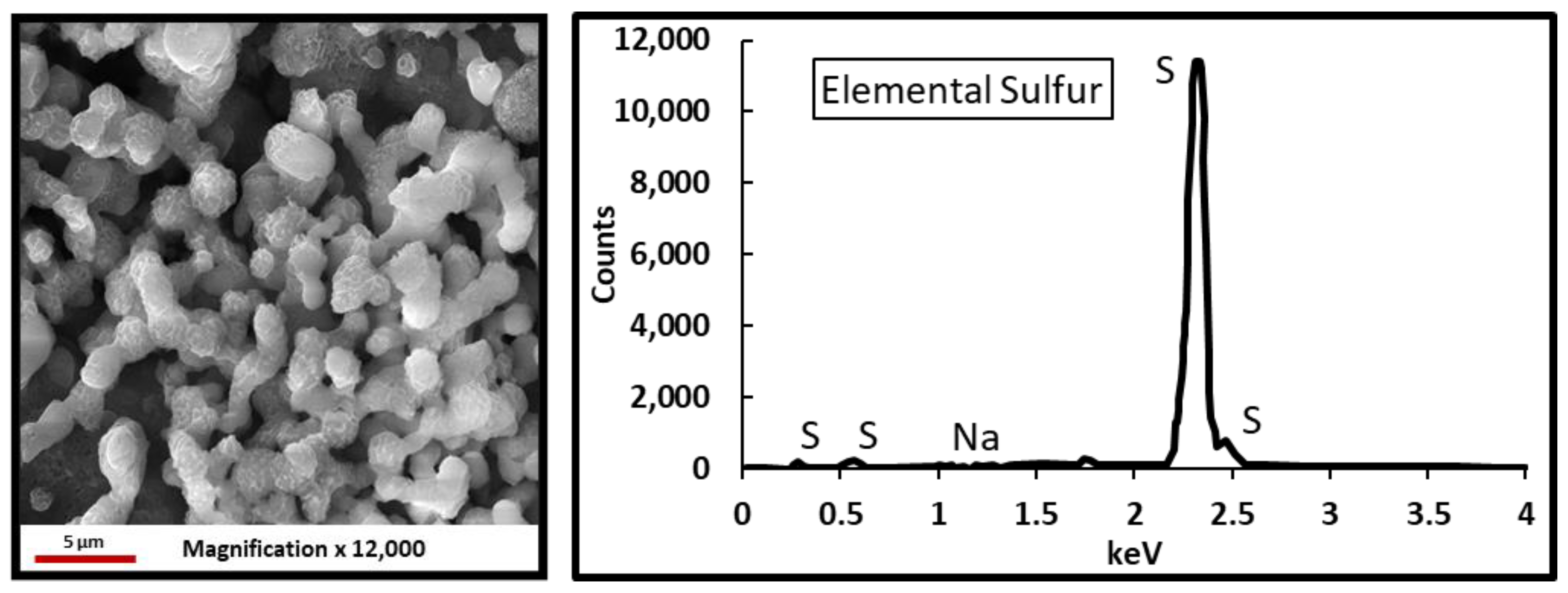 Polymers 12 02722 g021 Polymers 12 02722 g021
