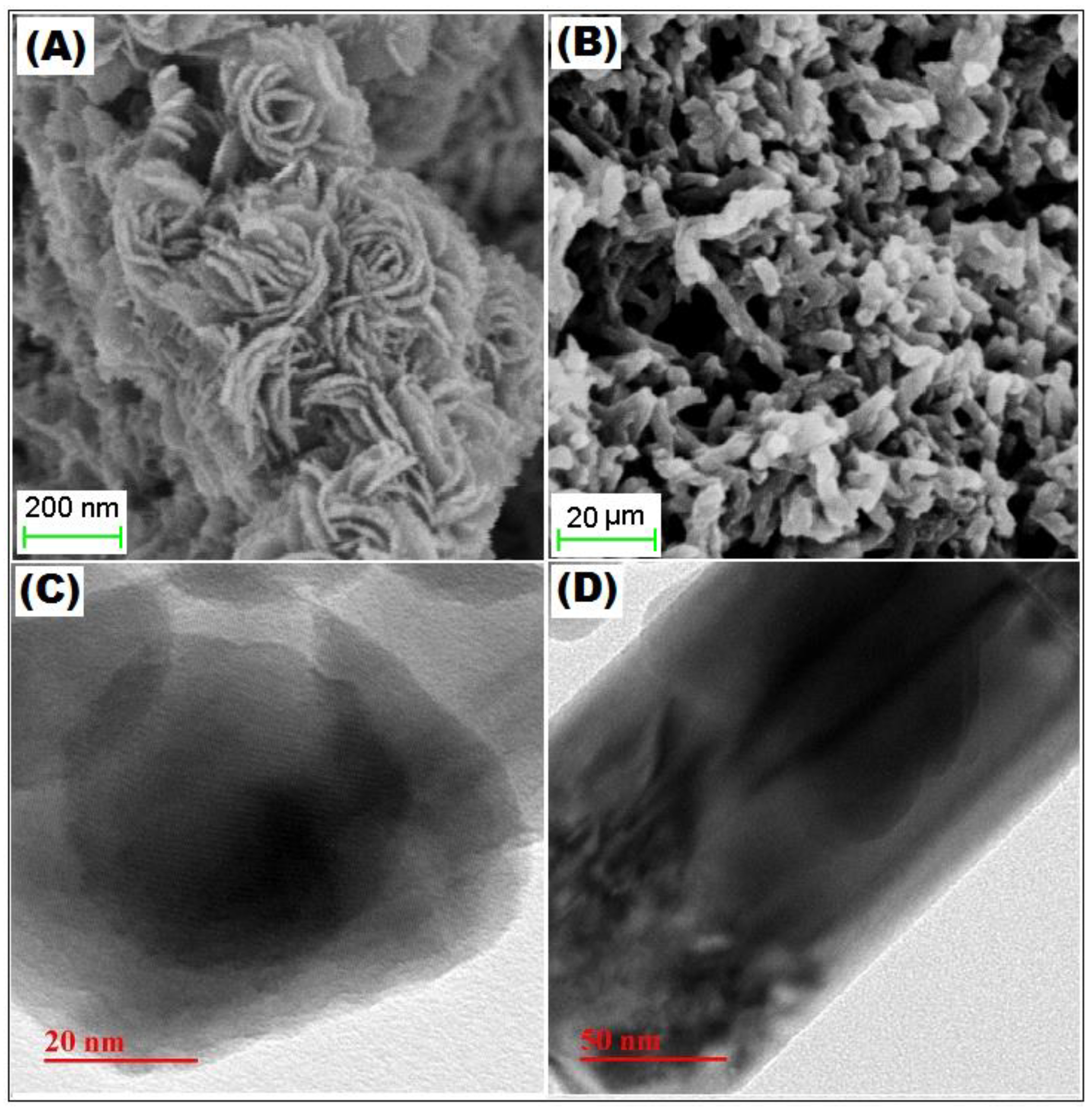 Polymers 12 02731 g001 Polymers 12 02731 g001