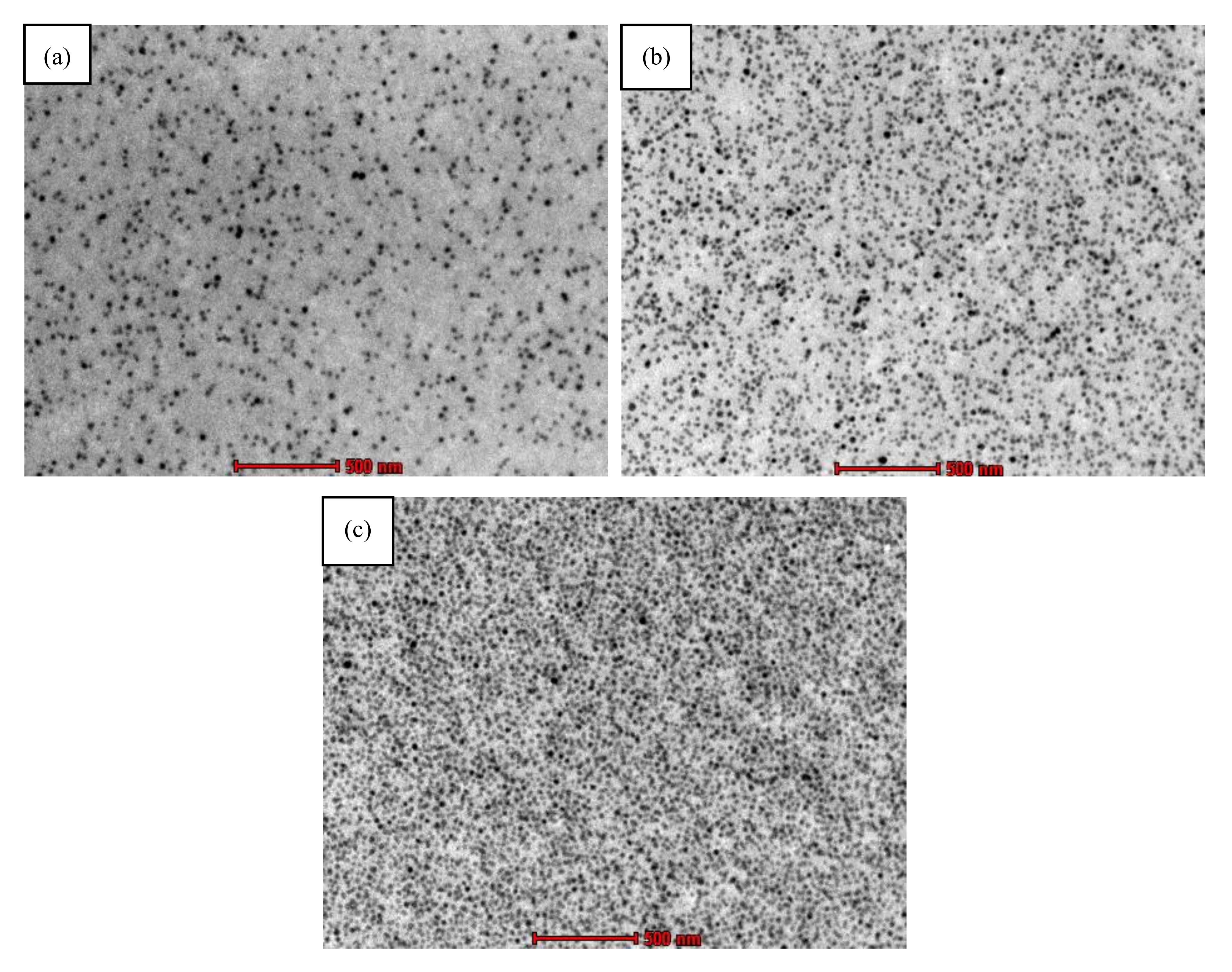Polymers 12 02733 g002 Polymers 12 02733 g002