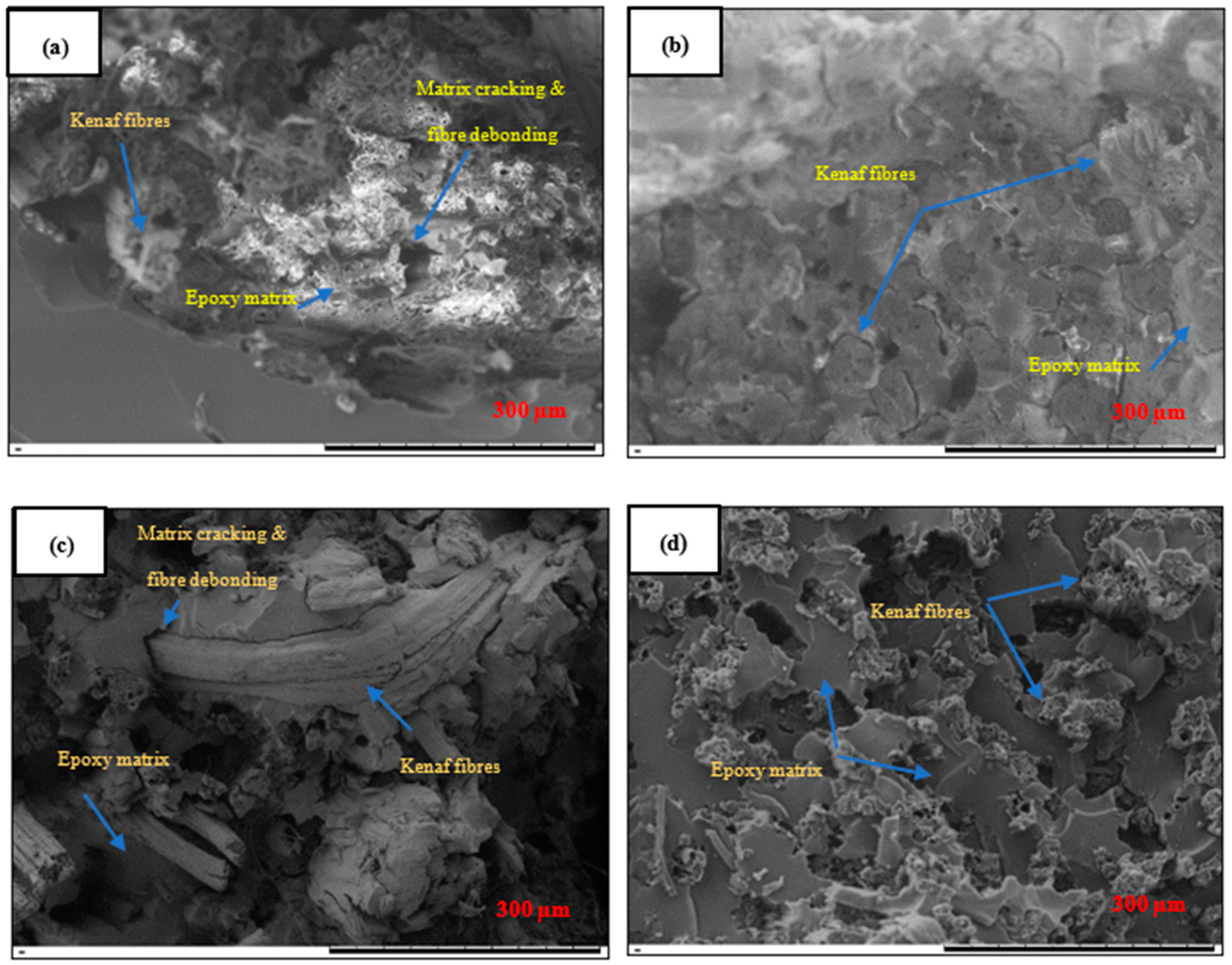 Polymers 12 02733 g005 Polymers 12 02733 g005