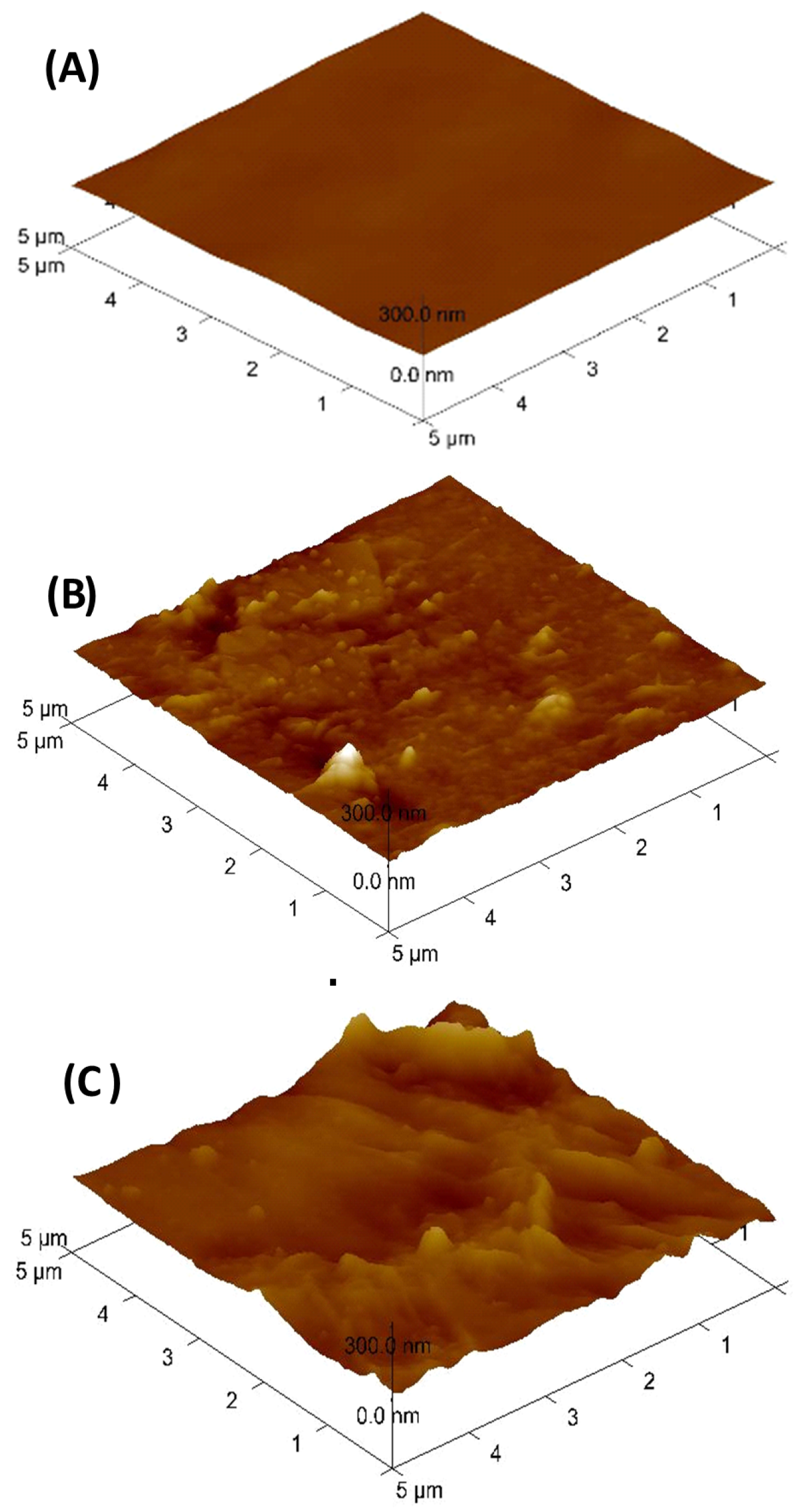 Polymers 12 02740 g004 Polymers 12 02740 g004