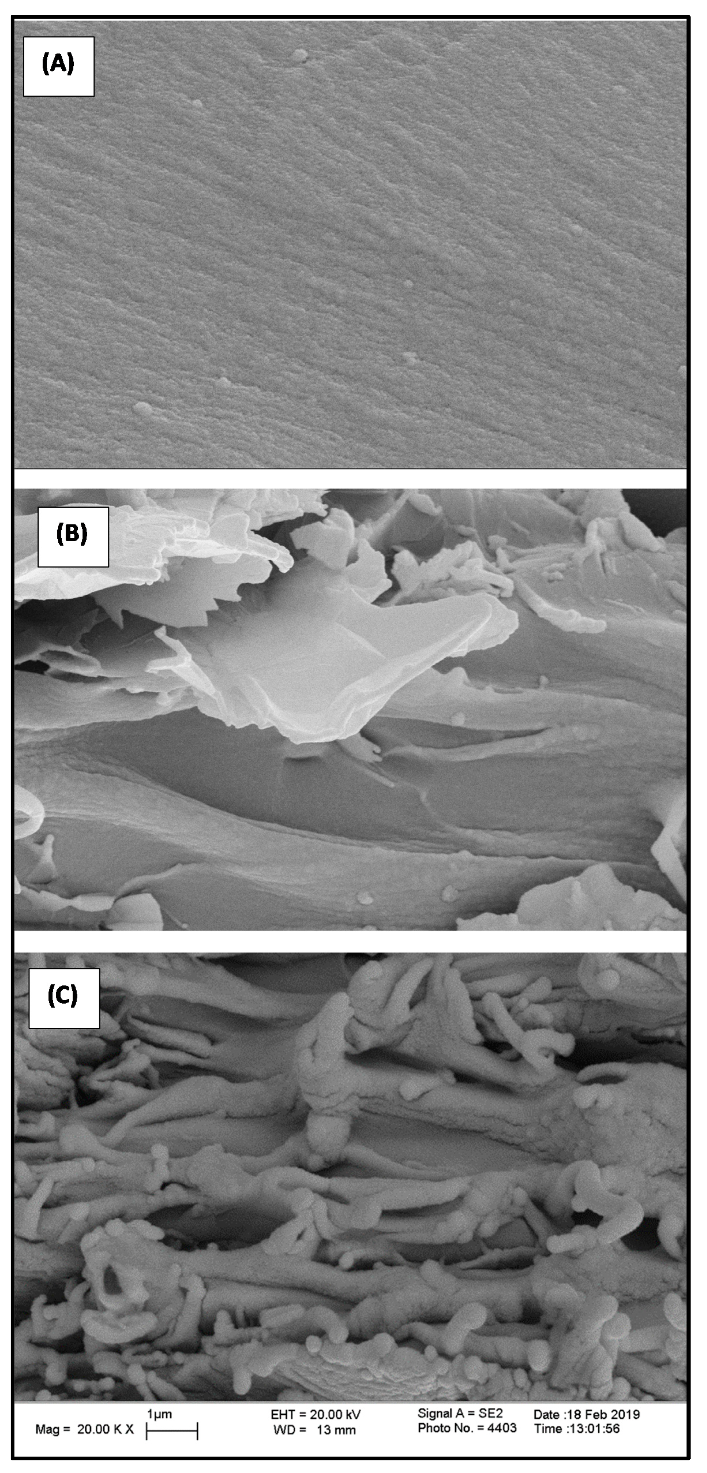 Polymers 12 02740 g005 Polymers 12 02740 g005