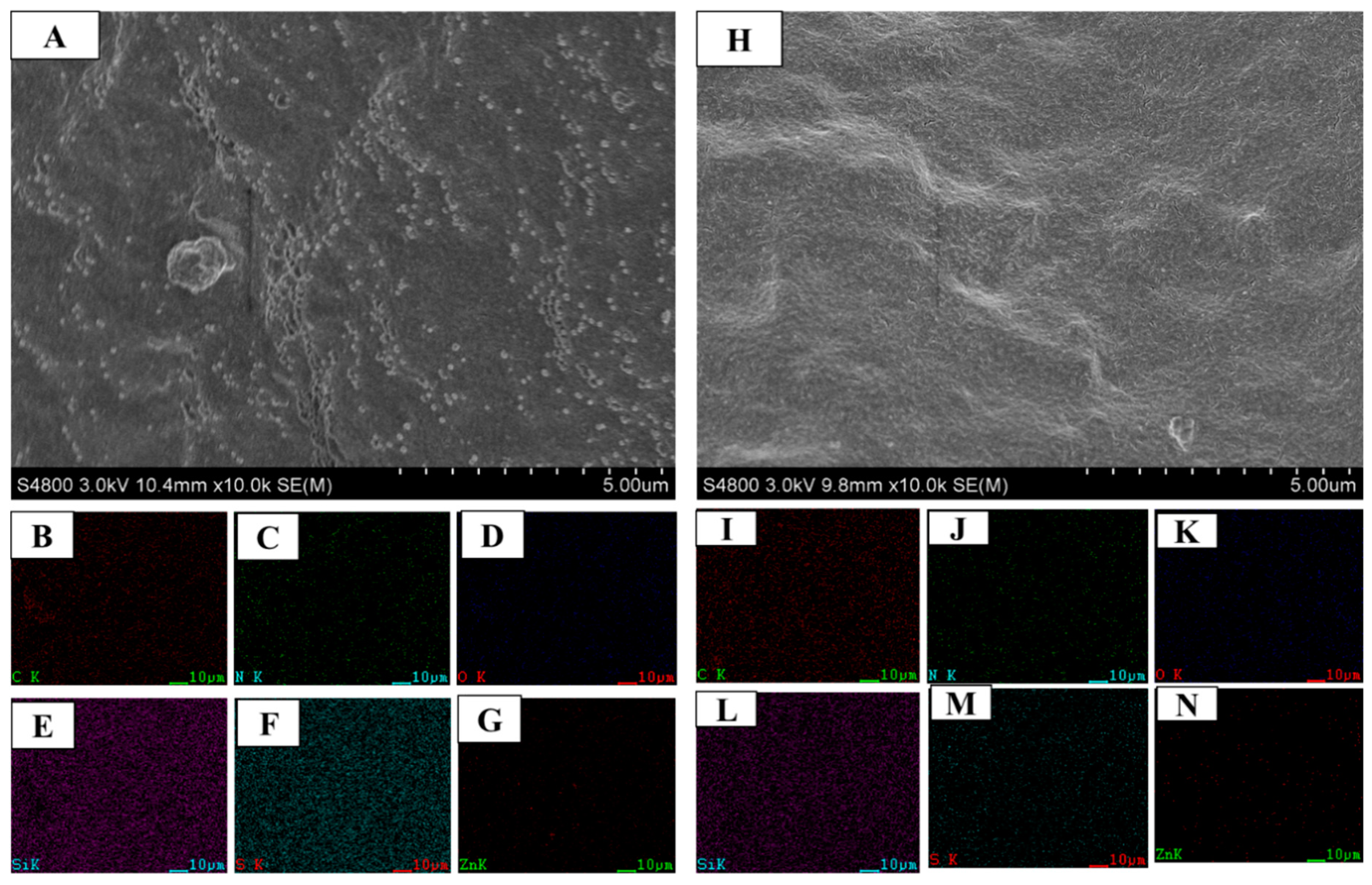 Polymers 12 02763 g004 Polymers 12 02763 g004