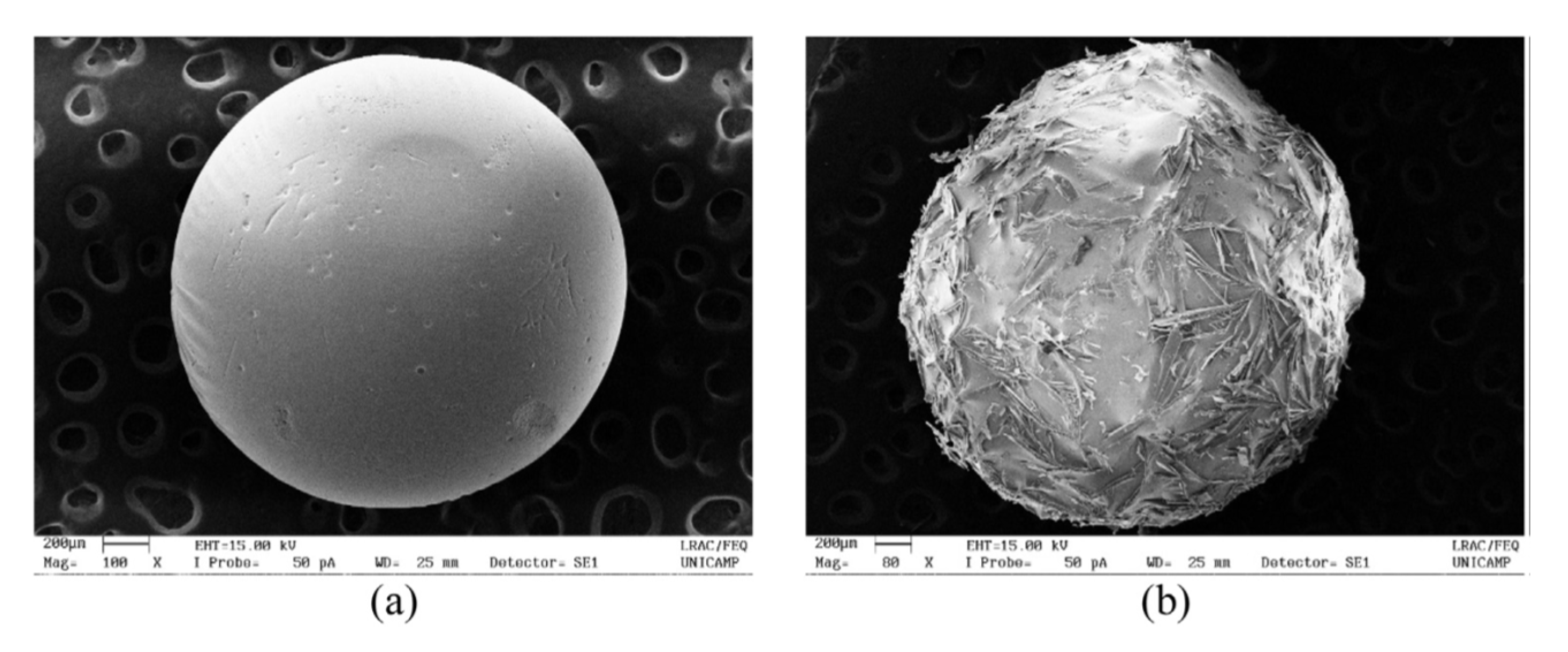 Polymers Free Full Text Biorefinery Approach For Aerogels Html