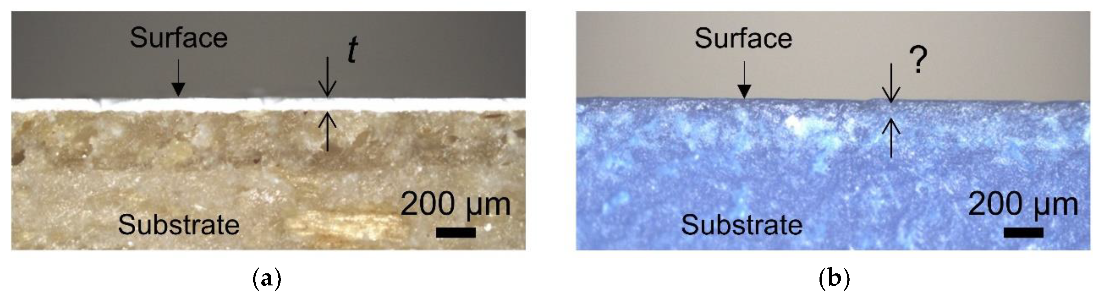 Polymers 12 02797 g006