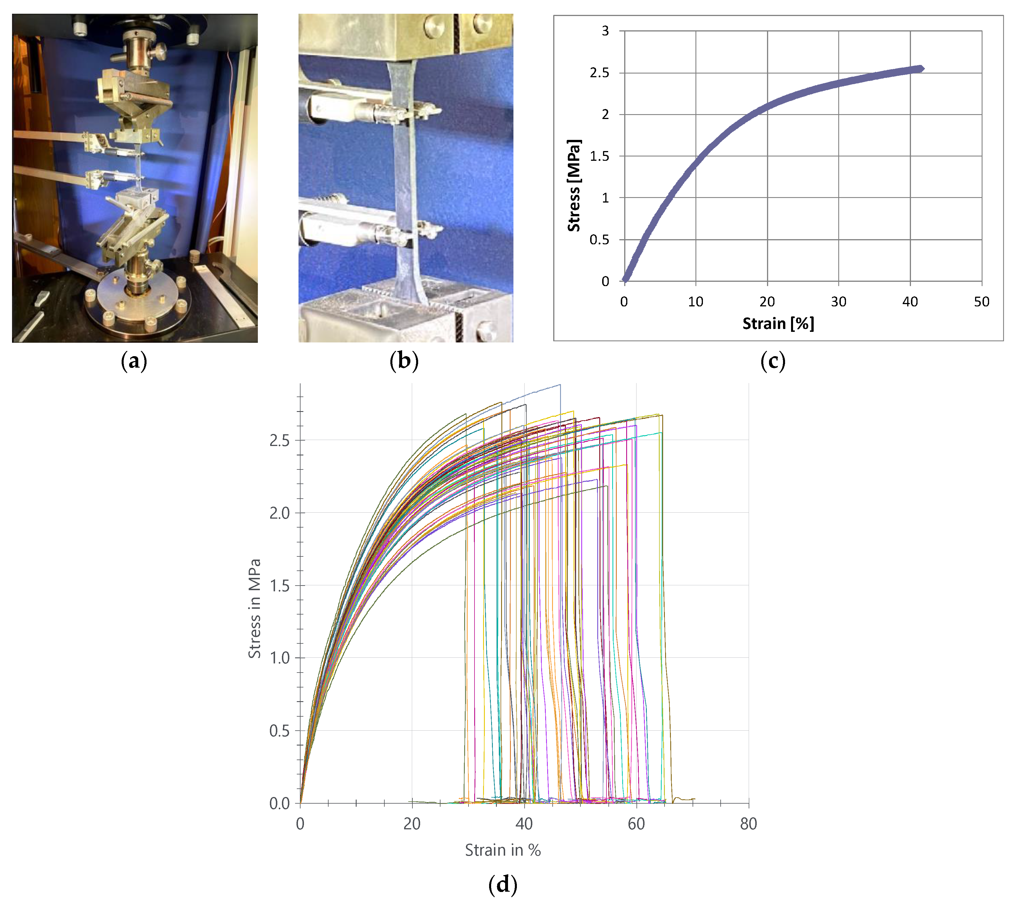 Polymers 12 02830 g003