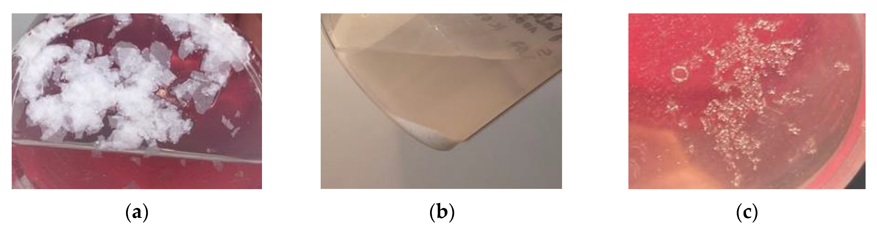 Polymers 12 02830 g005