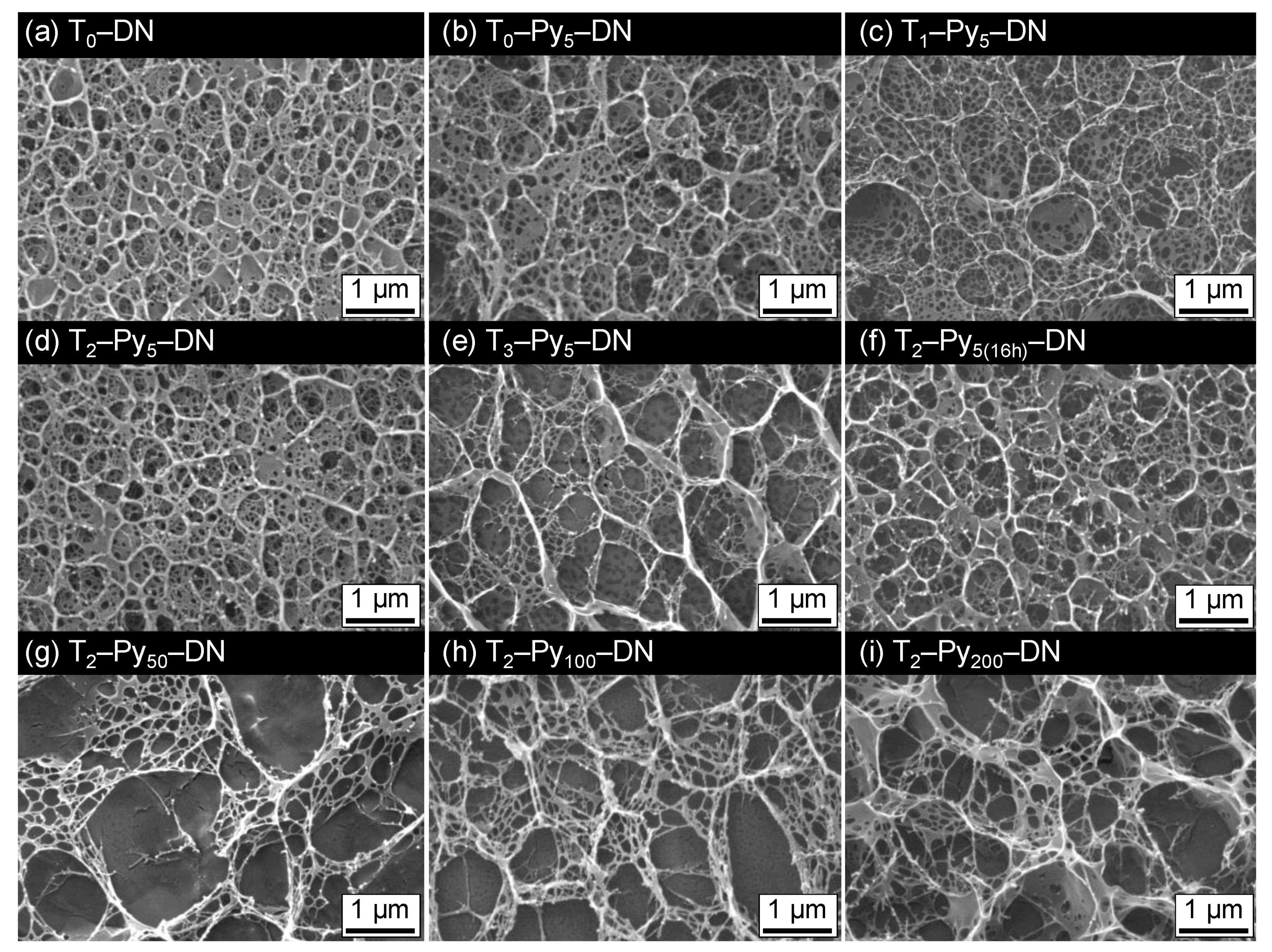 Polymers Free Full Text Preparations Of Tough And Conductive Pamps Paa Double Network Hydrogels Containing Cellulose Nanofibers And Polypyrroles Html