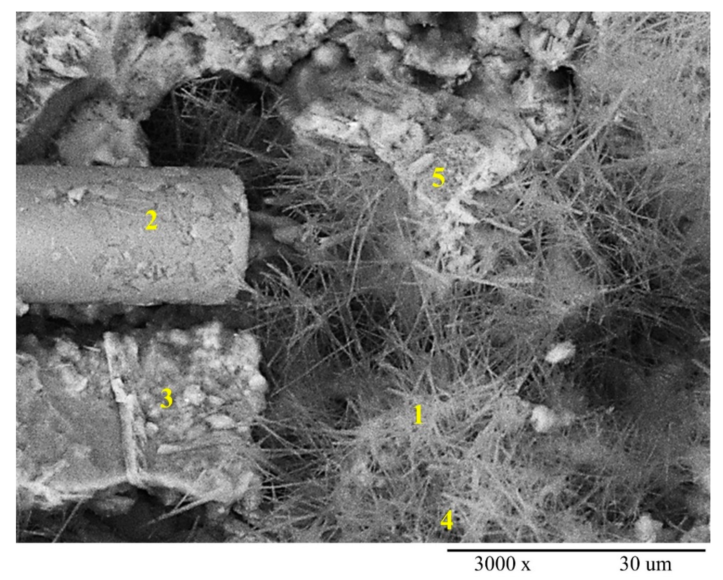Polymers 12 02837 g010 Polymers 12 02837 g010