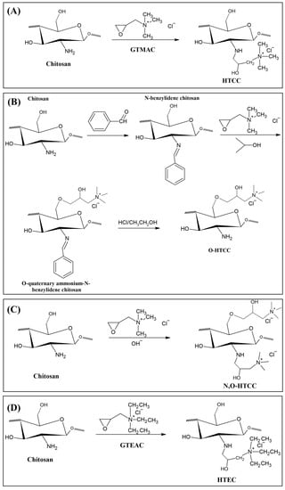 Polymers Free Full Text An Overview Of Current Knowledge On The Properties Synthesis And Applications Of Quaternary Chitosan Derivatives Html
