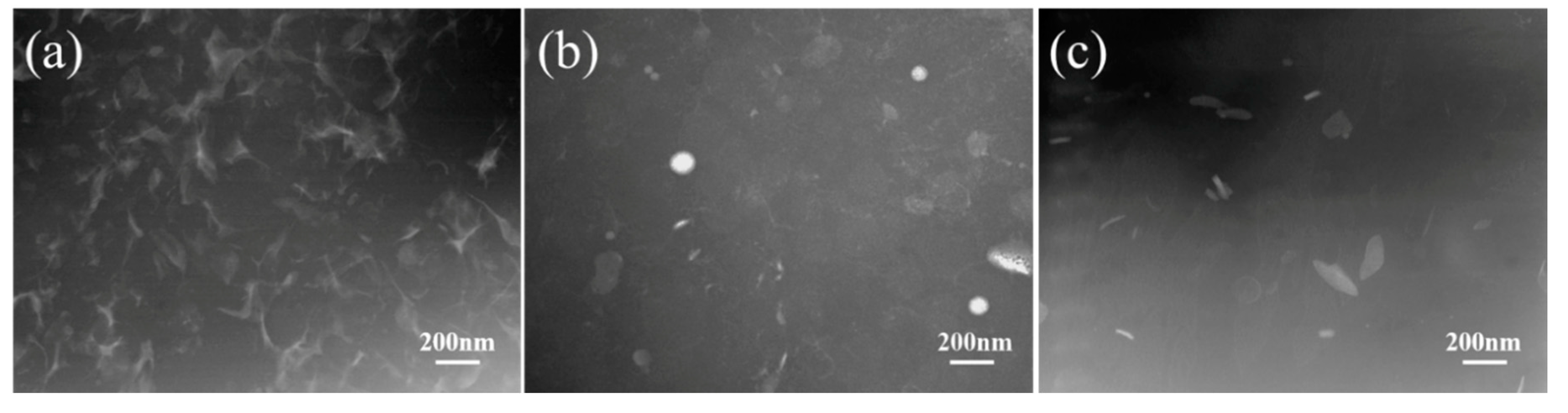 Polymers 12 02880 g003